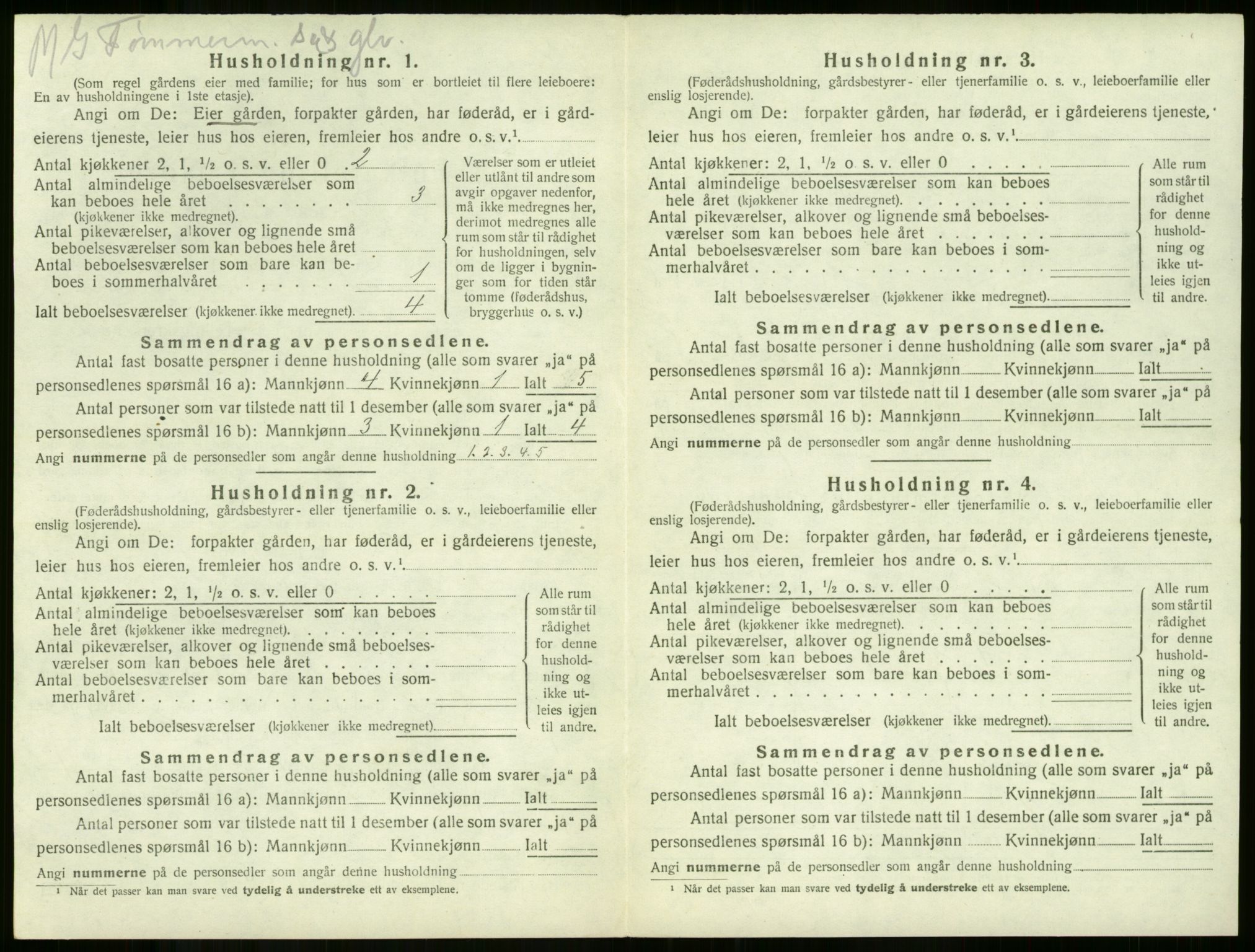 SAKO, 1920 census for Våle, 1920, p. 261