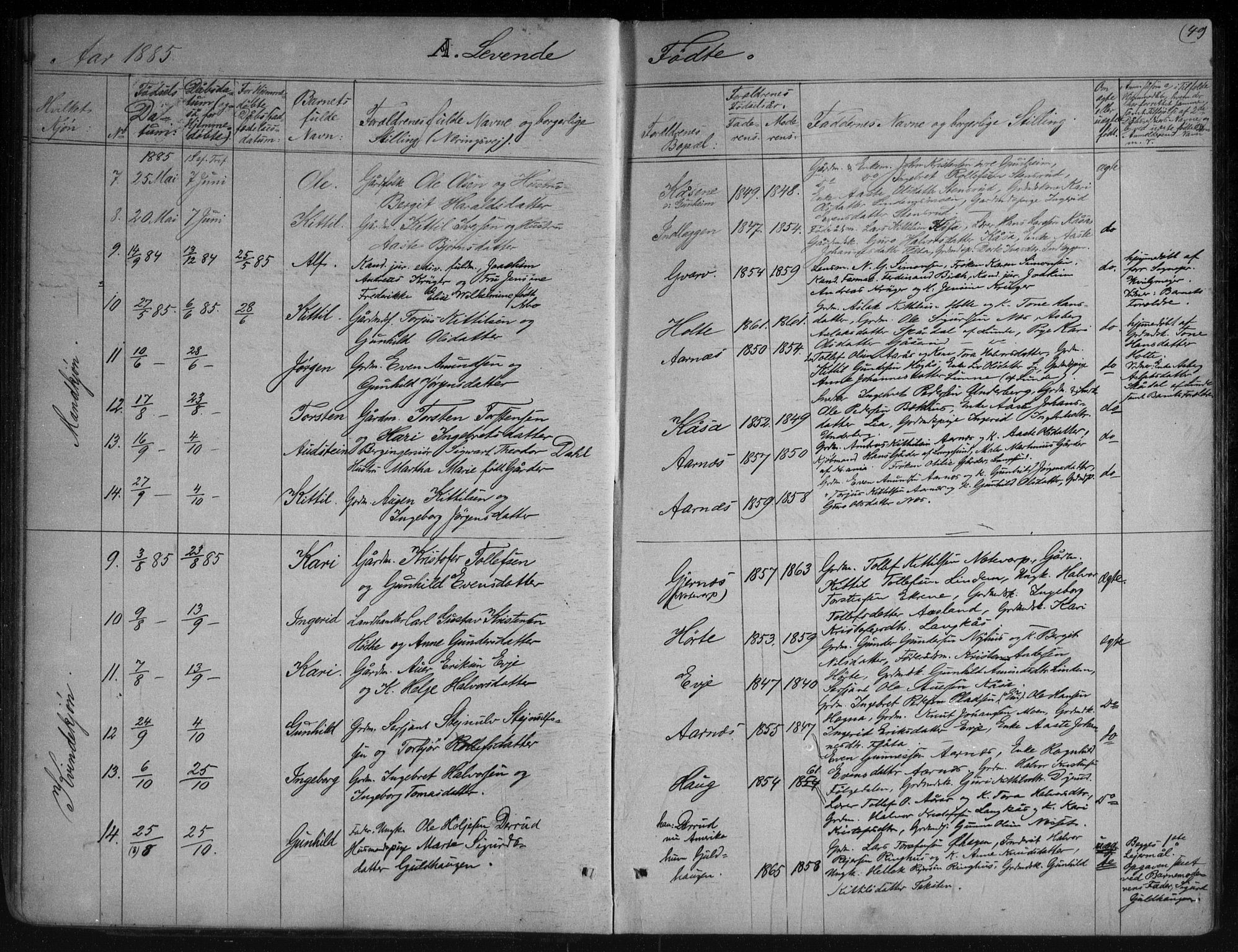Sauherad kirkebøker, AV/SAKO-A-298/G/Gb/L0002: Parish register (copy) no. II 2, 1866-1897, p. 49
