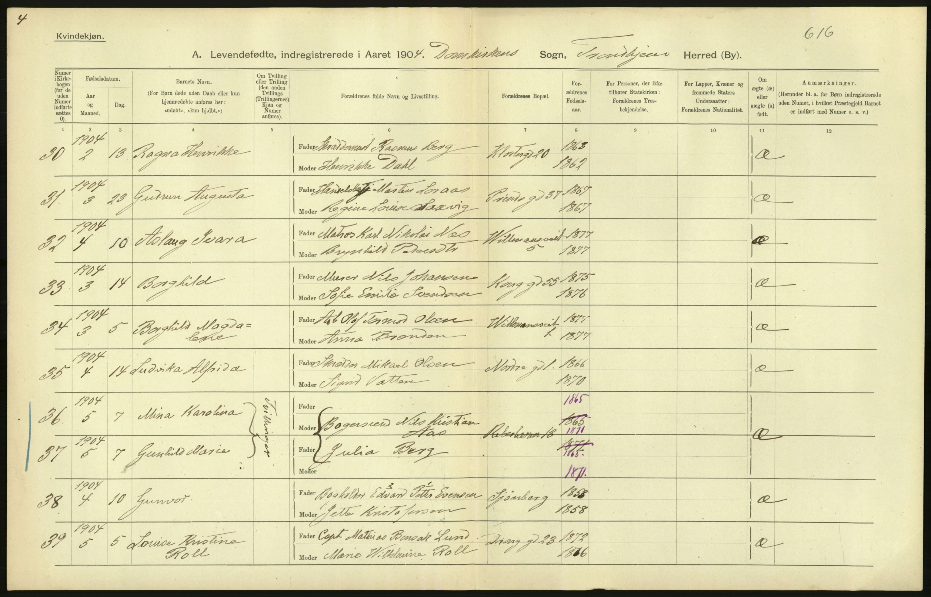 Statistisk sentralbyrå, Sosiodemografiske emner, Befolkning, AV/RA-S-2228/D/Df/Dfa/Dfab/L0018: Trondhjem: Fødte, gifte, døde., 1904, p. 188