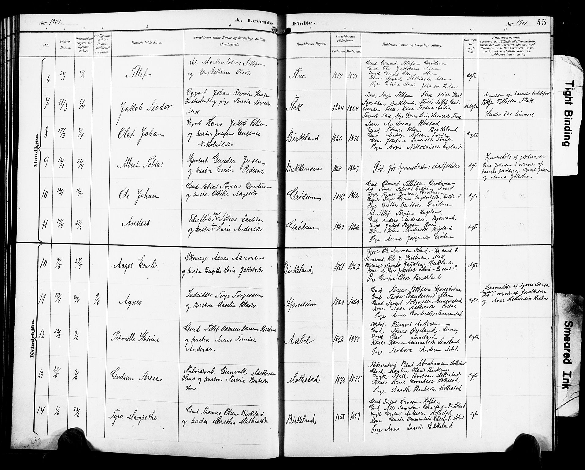 Birkenes sokneprestkontor, SAK/1111-0004/F/Fb/L0004: Parish register (copy) no. B 4, 1893-1930, p. 45