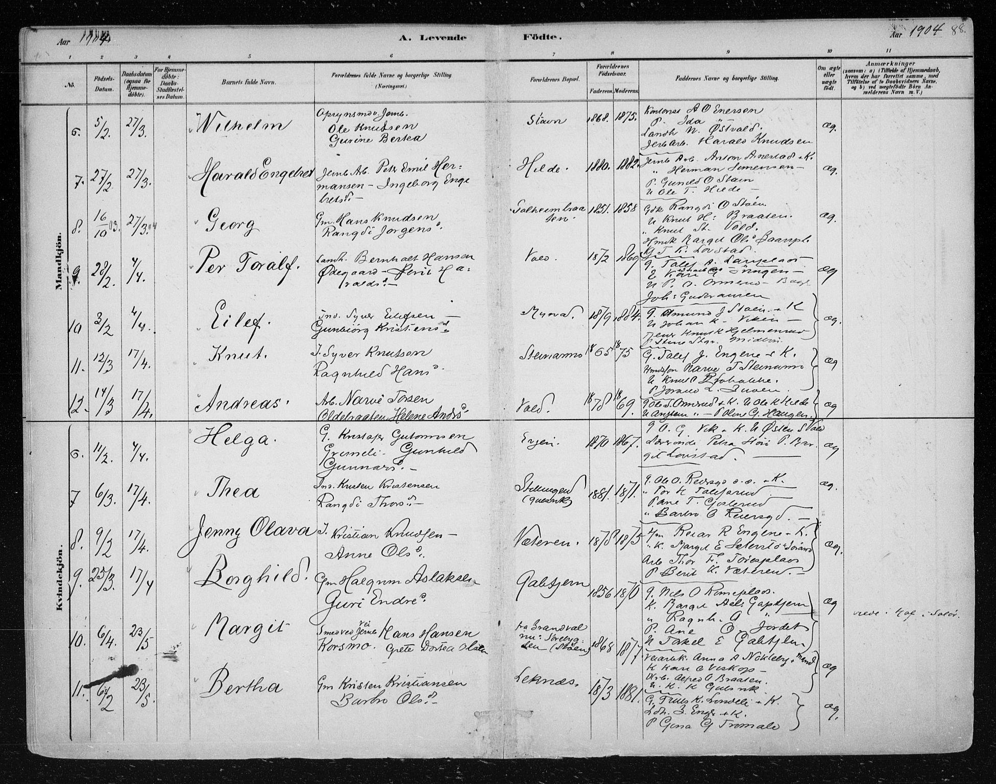 Nes kirkebøker, AV/SAKO-A-236/F/Fa/L0012: Parish register (official) no. 12, 1881-1917, p. 88