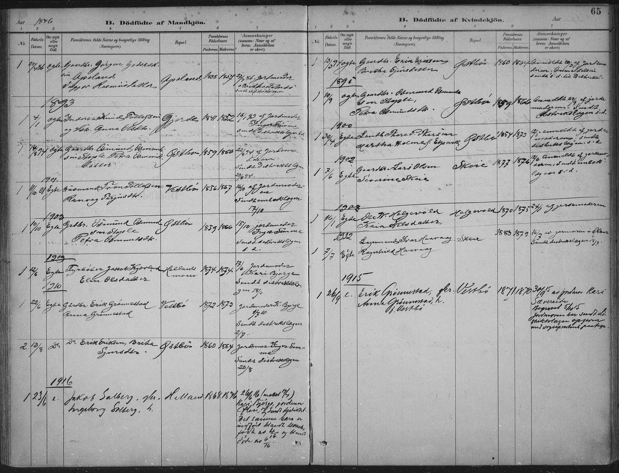 Vikedal sokneprestkontor, AV/SAST-A-101840/01/IV: Parish register (official) no. A 11, 1884-1933, p. 65