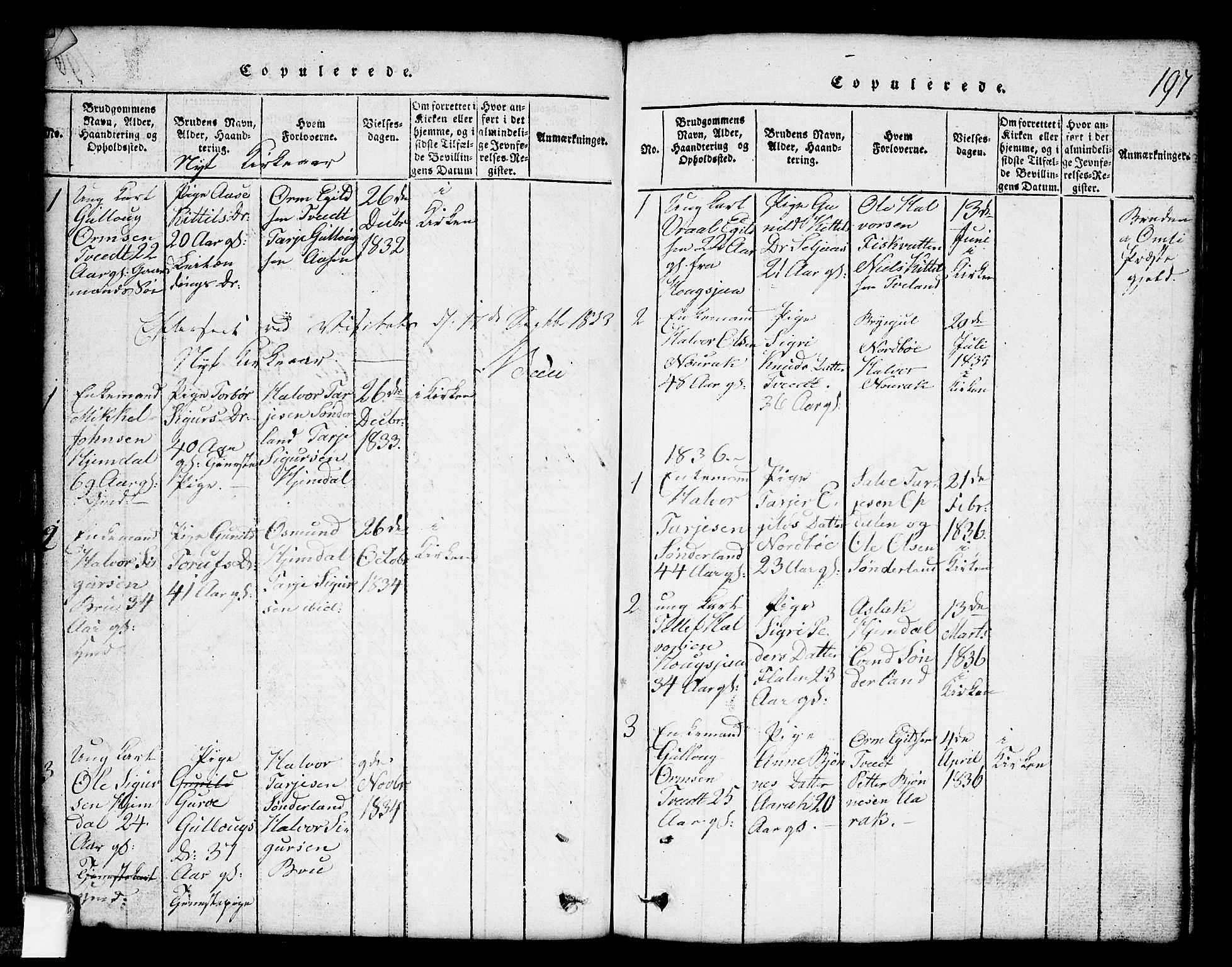 Nissedal kirkebøker, SAKO/A-288/G/Gb/L0001: Parish register (copy) no. II 1, 1814-1862, p. 197