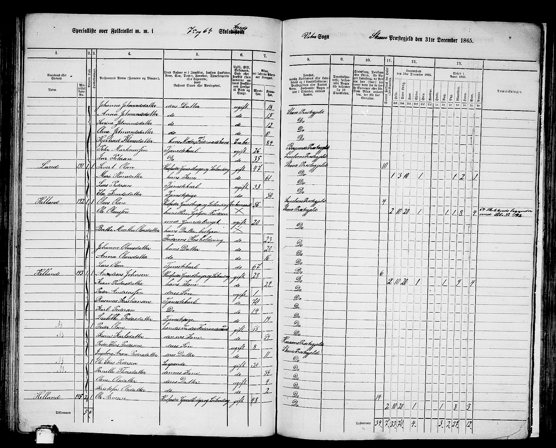 RA, 1865 census for Skodje, 1865, p. 102