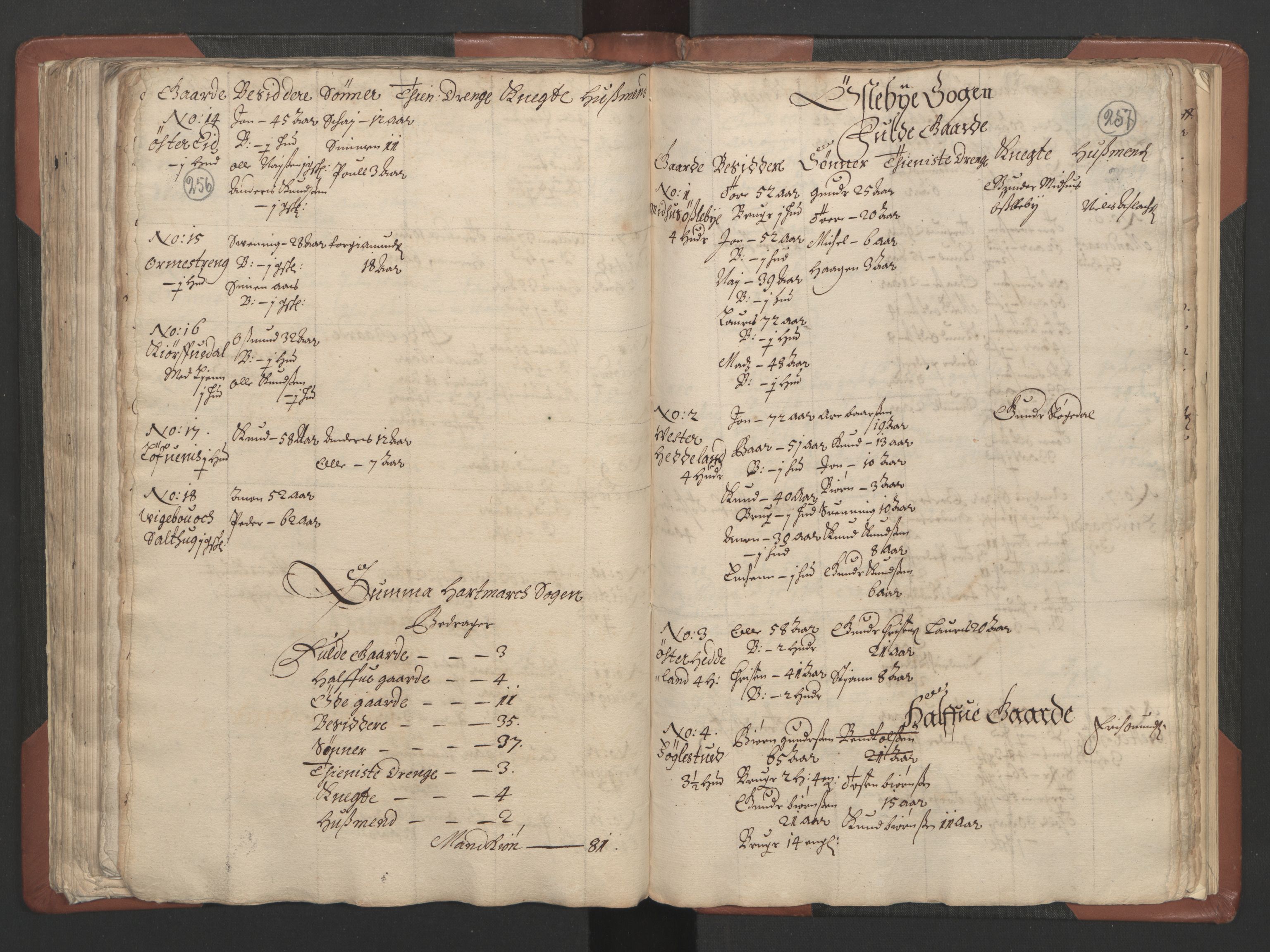 RA, Bailiff's Census 1664-1666, no. 9: Mandal len, 1664-1666, p. 256-257
