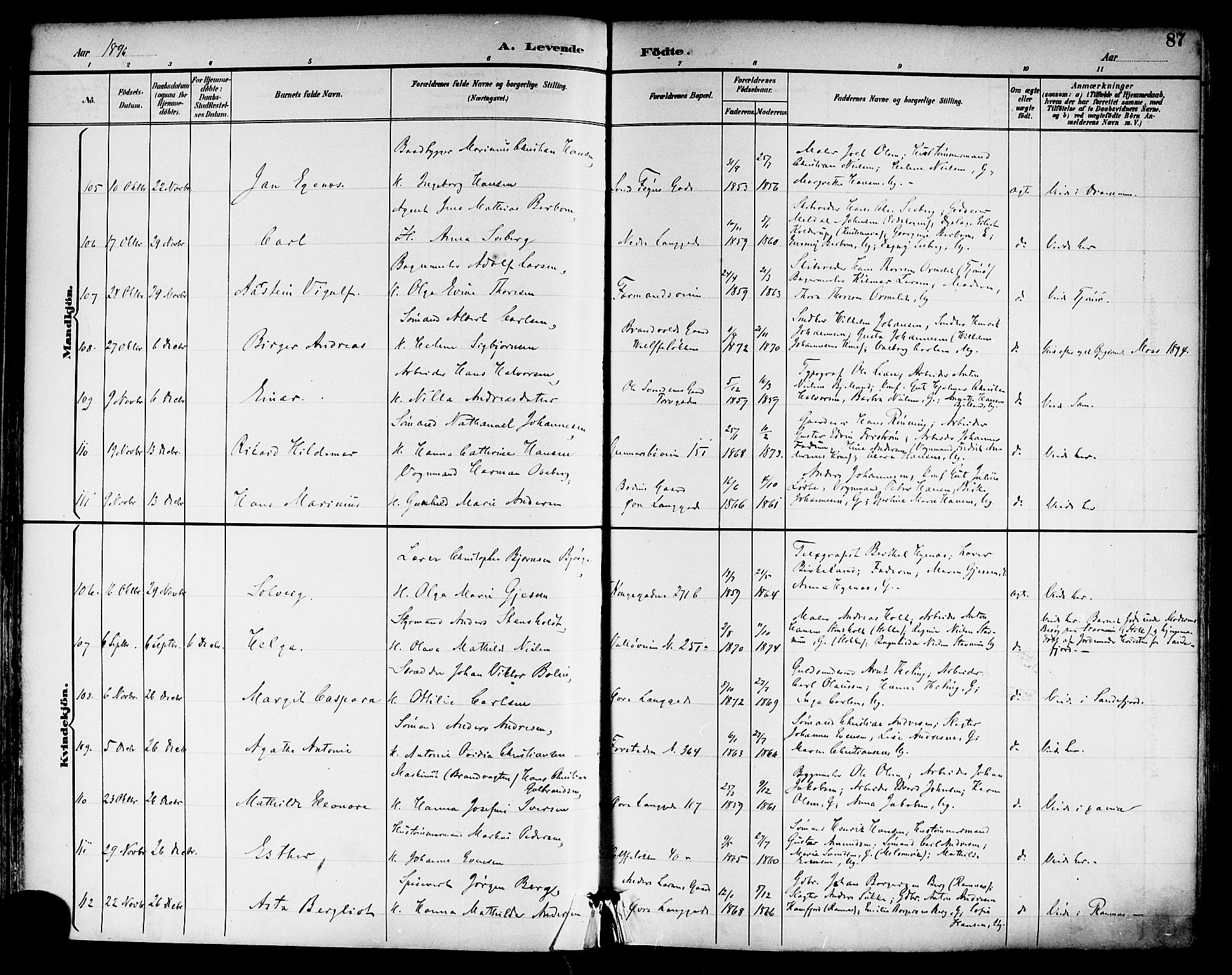 Tønsberg kirkebøker, SAKO/A-330/F/Fa/L0012: Parish register (official) no. I 12, 1891-1899, p. 87