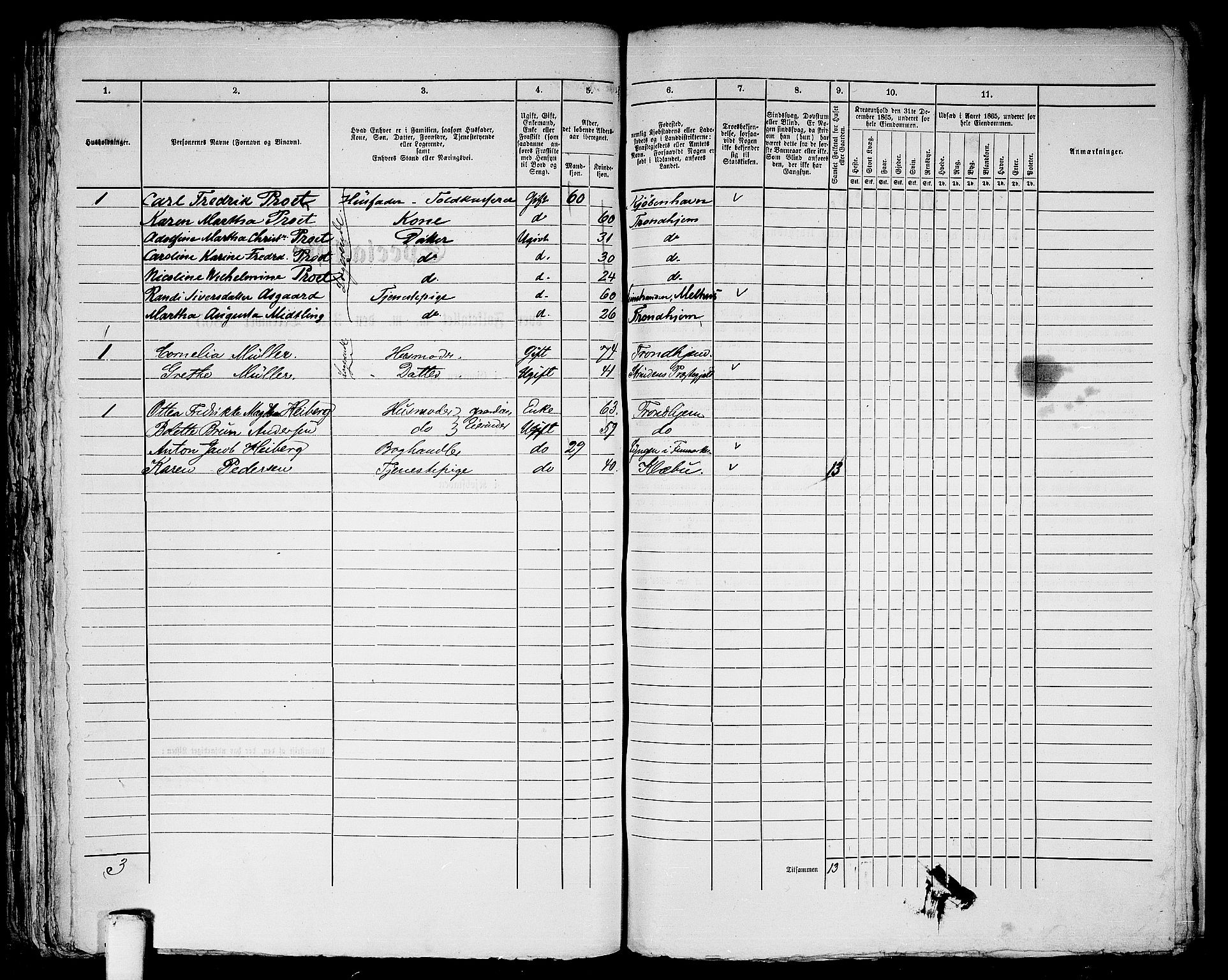 RA, 1865 census for Trondheim, 1865, p. 983