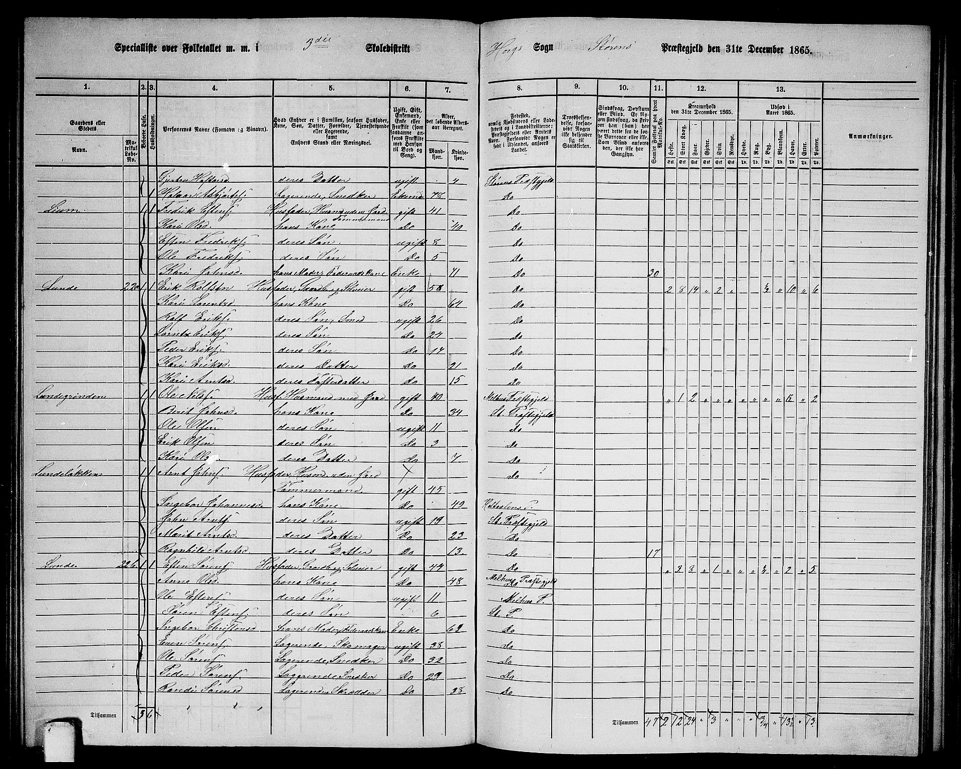 RA, 1865 census for Støren, 1865, p. 152