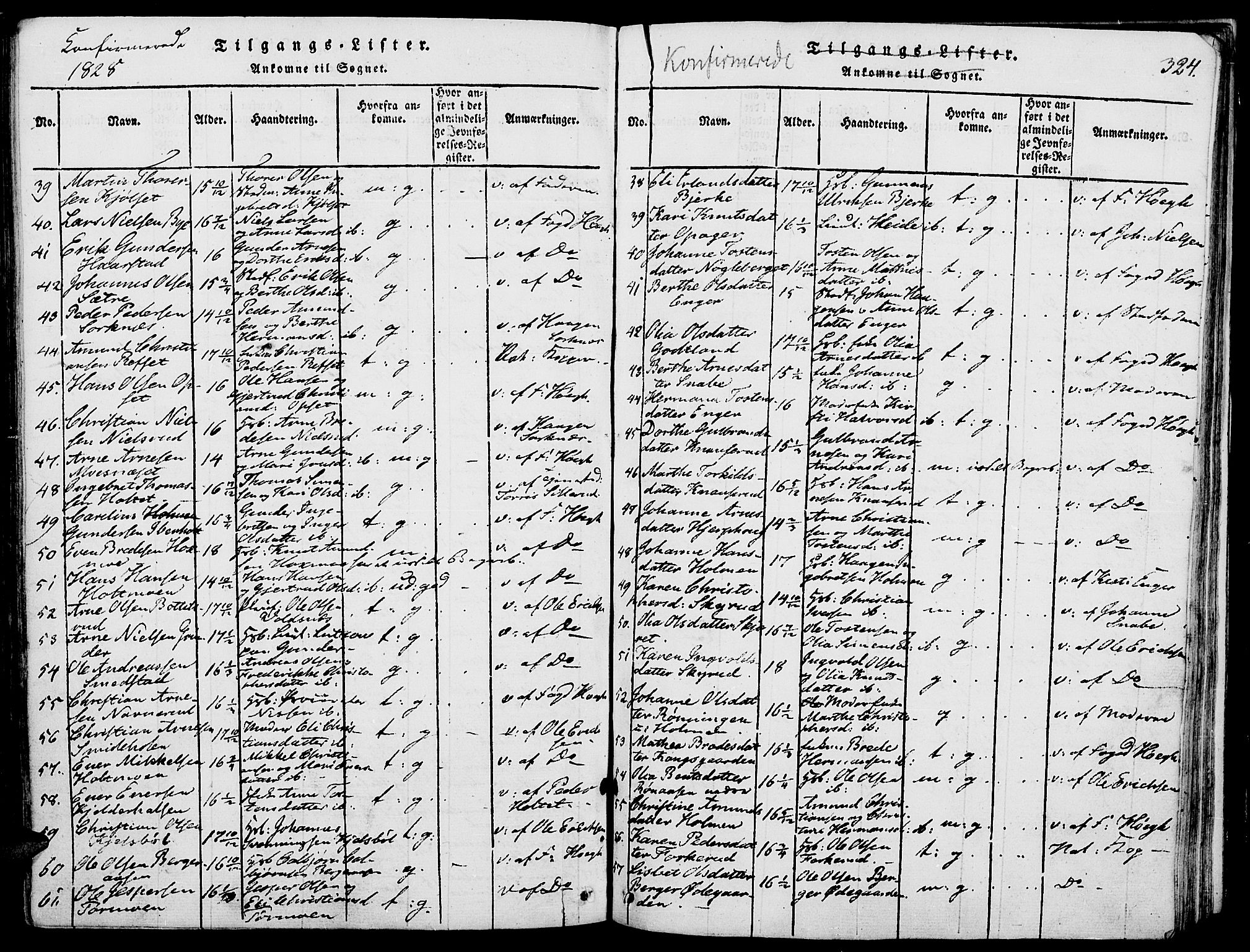 Grue prestekontor, SAH/PREST-036/H/Ha/Haa/L0006: Parish register (official) no. 6, 1814-1830, p. 324