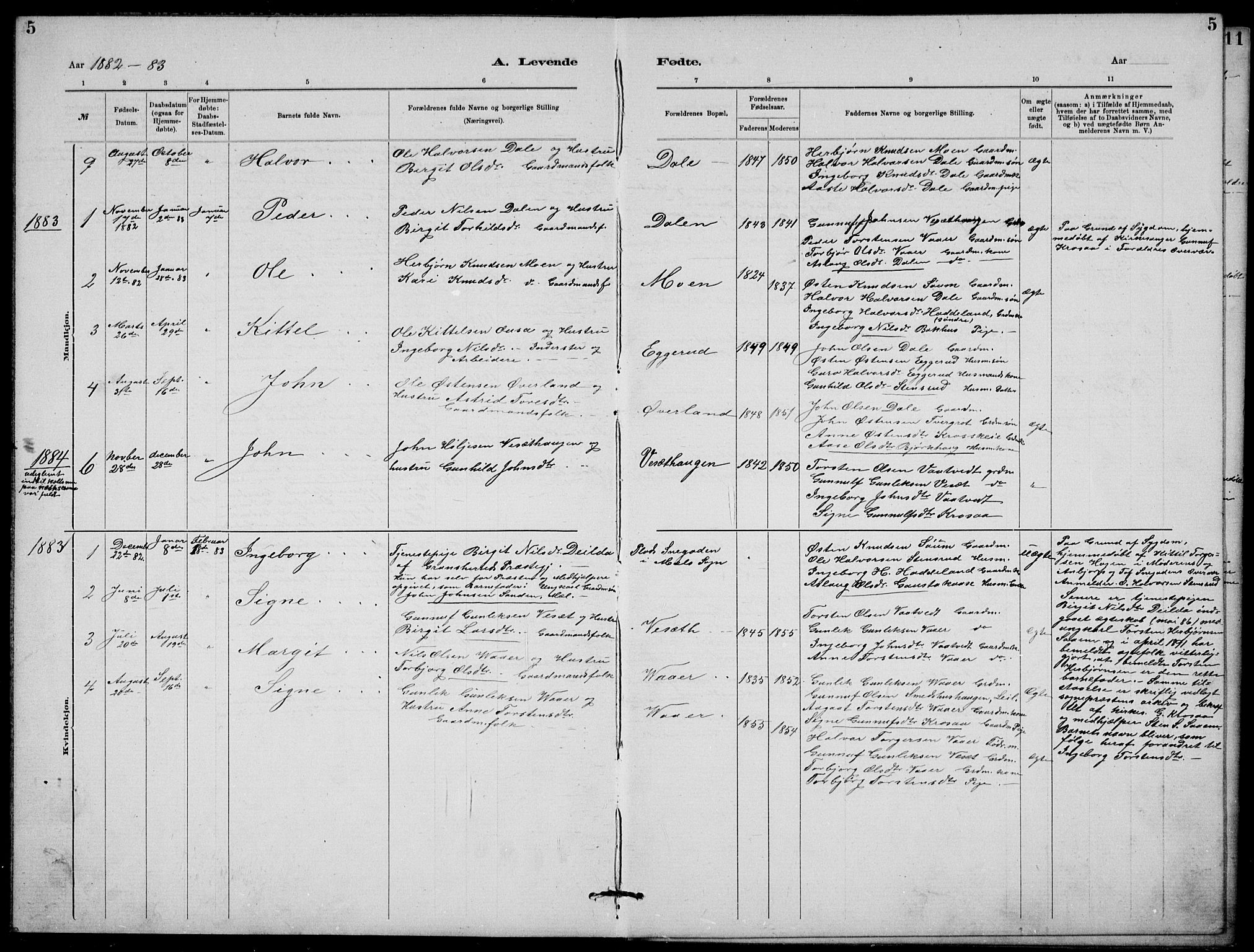 Rjukan kirkebøker, SAKO/A-294/G/Ga/L0001: Parish register (copy) no. 1, 1880-1914, p. 5