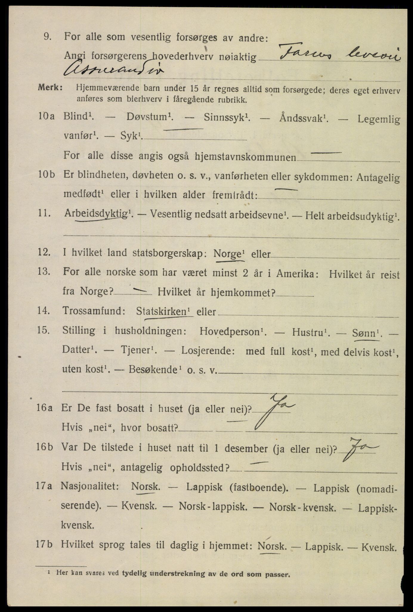 SAT, 1920 census for Bodø, 1920, p. 12804