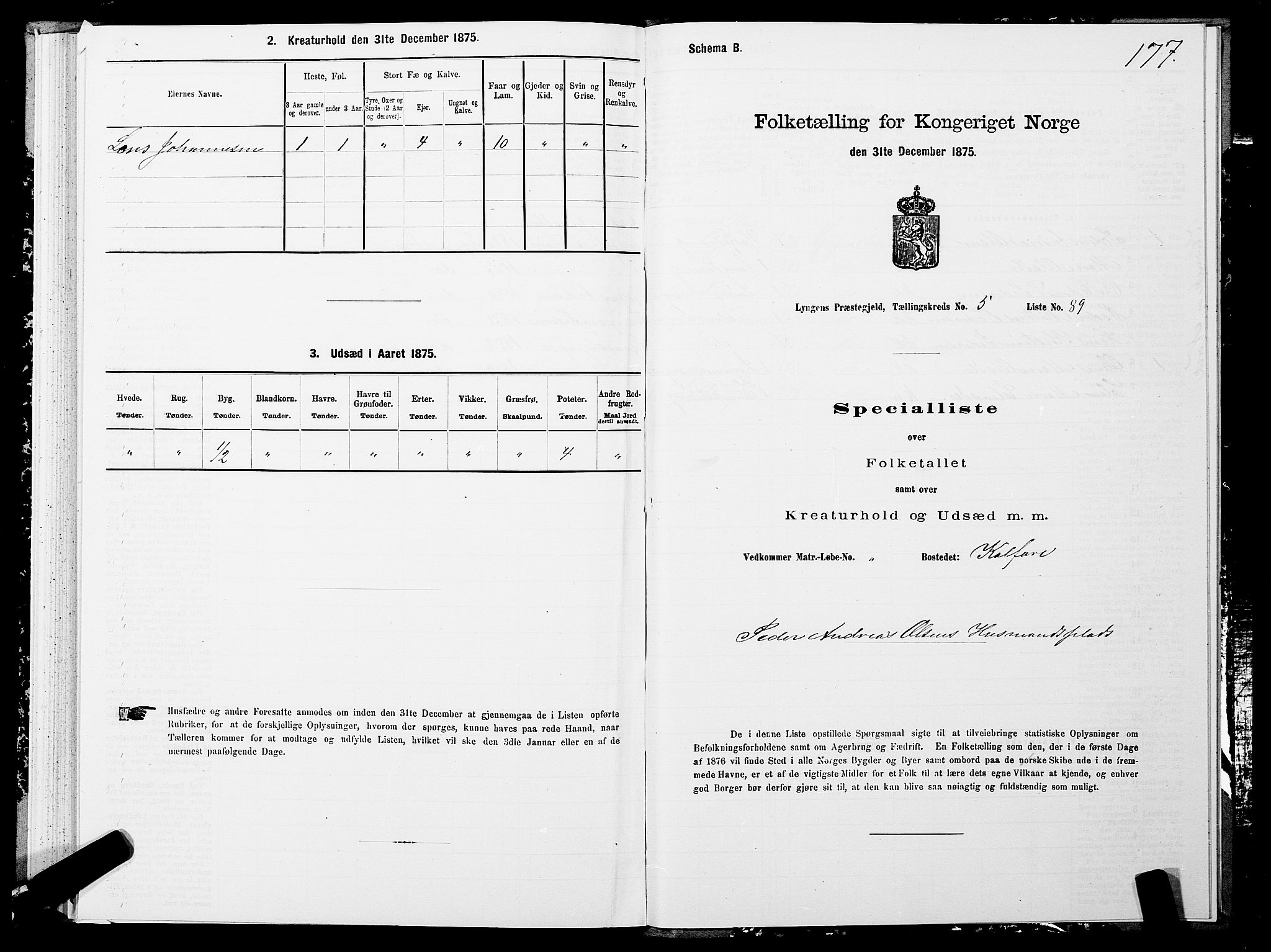 SATØ, 1875 census for 1938P Lyngen, 1875, p. 5177