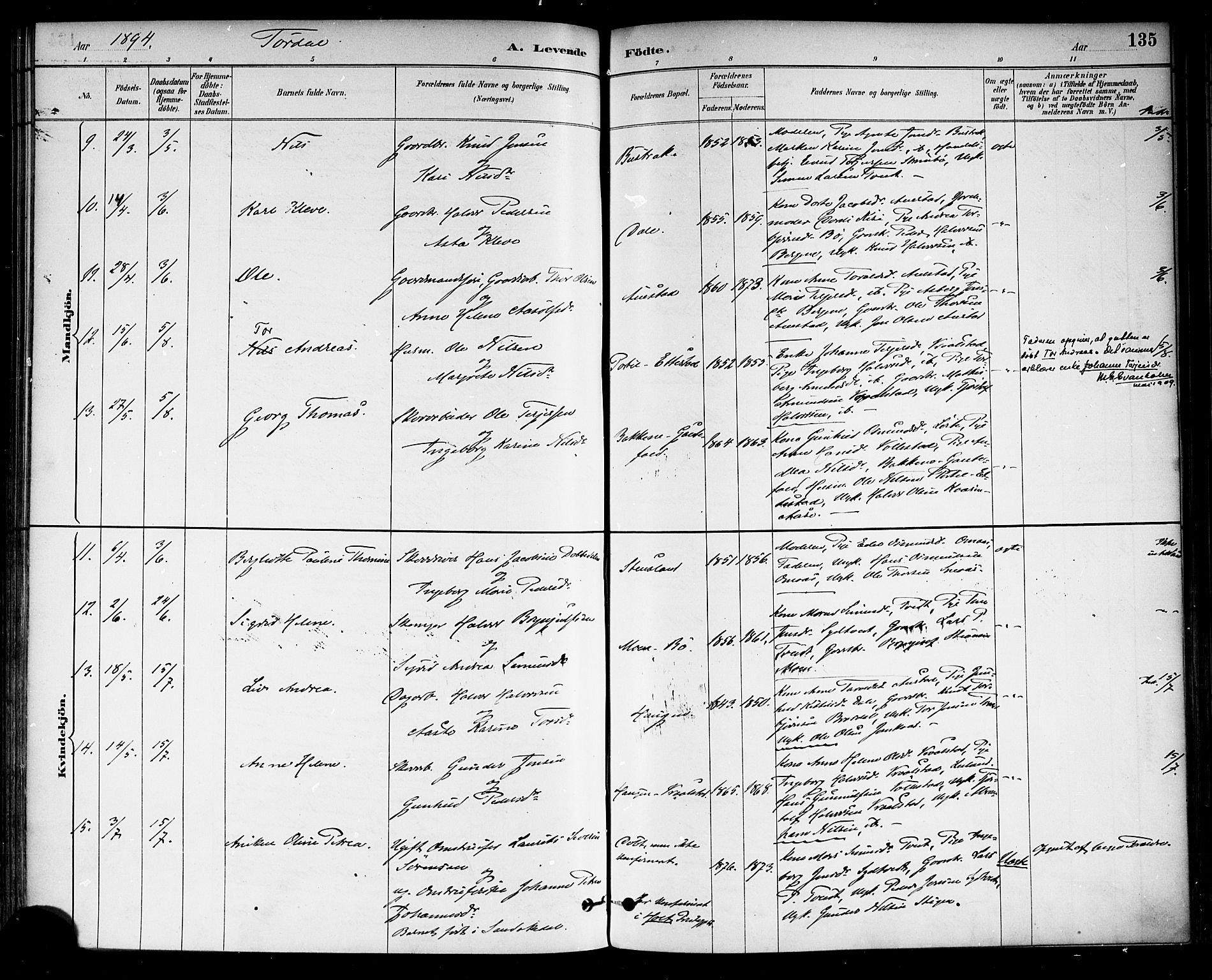 Drangedal kirkebøker, AV/SAKO-A-258/F/Fa/L0010: Parish register (official) no. 10 /2, 1885-1894, p. 135