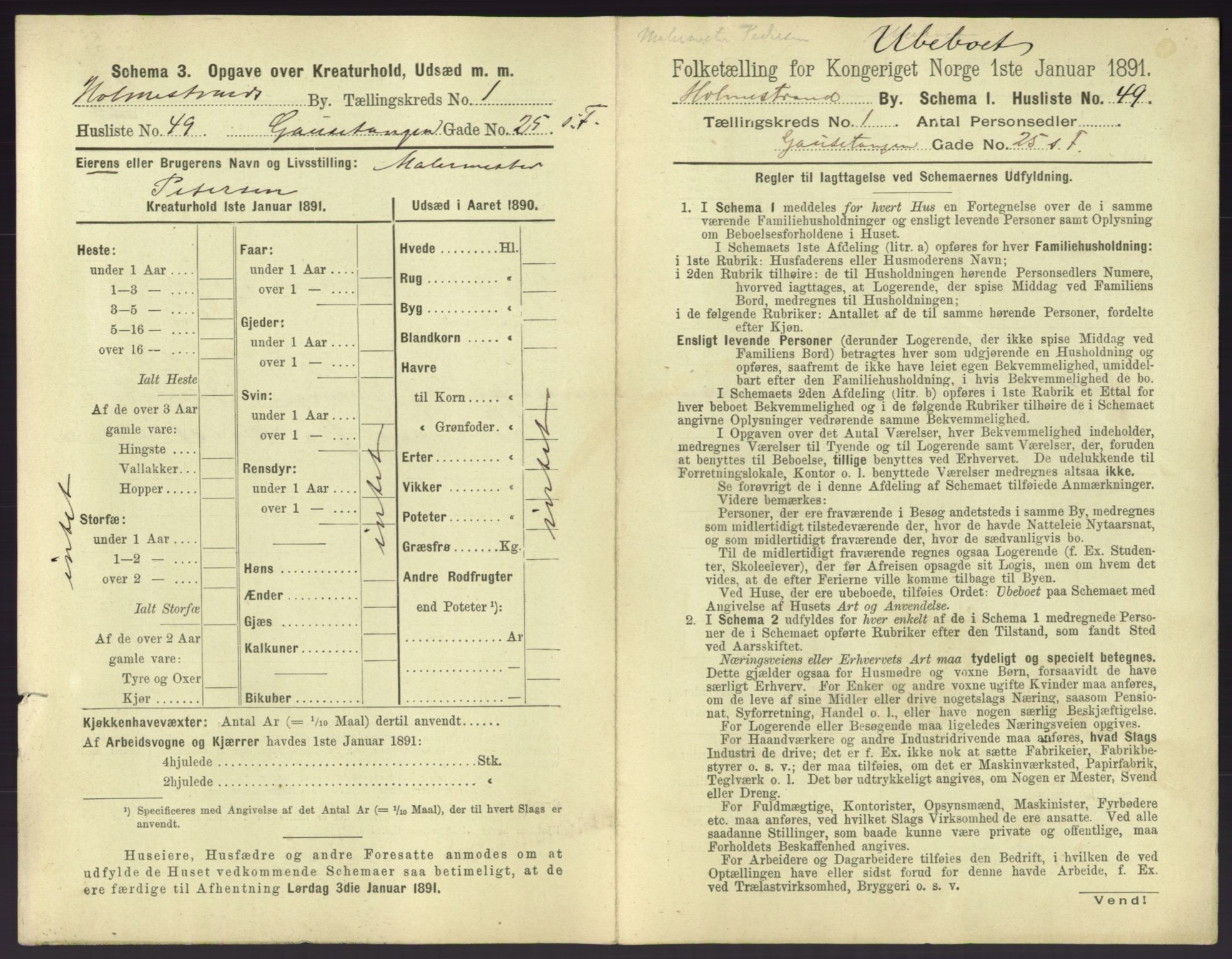 RA, 1891 census for 0702 Holmestrand, 1891, p. 114