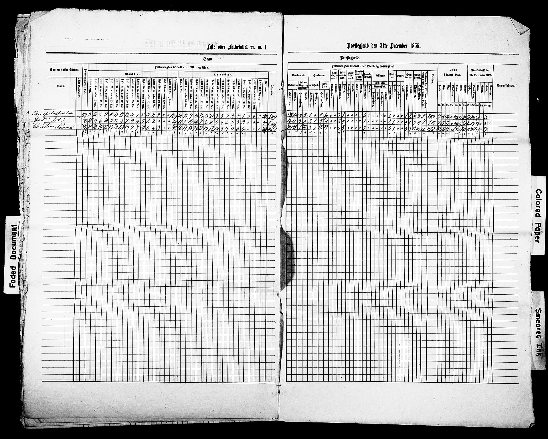 , Census 1855 for Stokke, 1855, p. 22