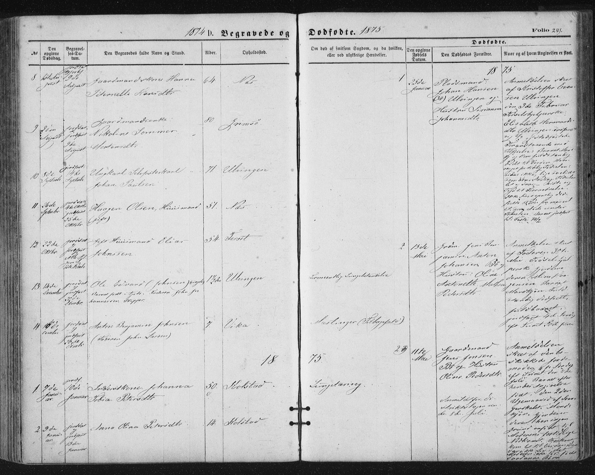 Ministerialprotokoller, klokkerbøker og fødselsregistre - Nordland, SAT/A-1459/816/L0241: Parish register (official) no. 816A07, 1870-1885, p. 241