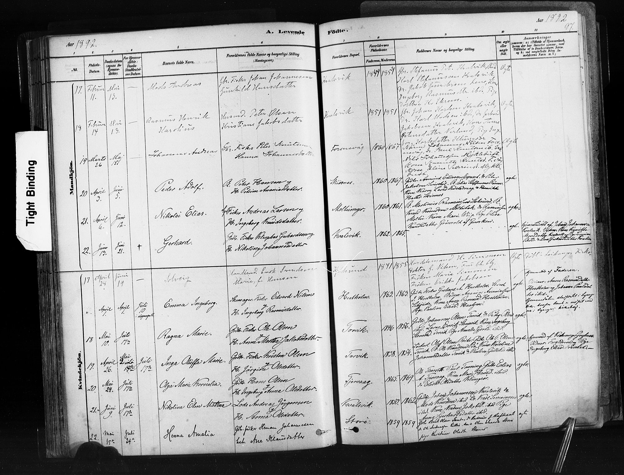 Ministerialprotokoller, klokkerbøker og fødselsregistre - Møre og Romsdal, SAT/A-1454/507/L0073: Parish register (official) no. 507A08, 1878-1904, p. 97