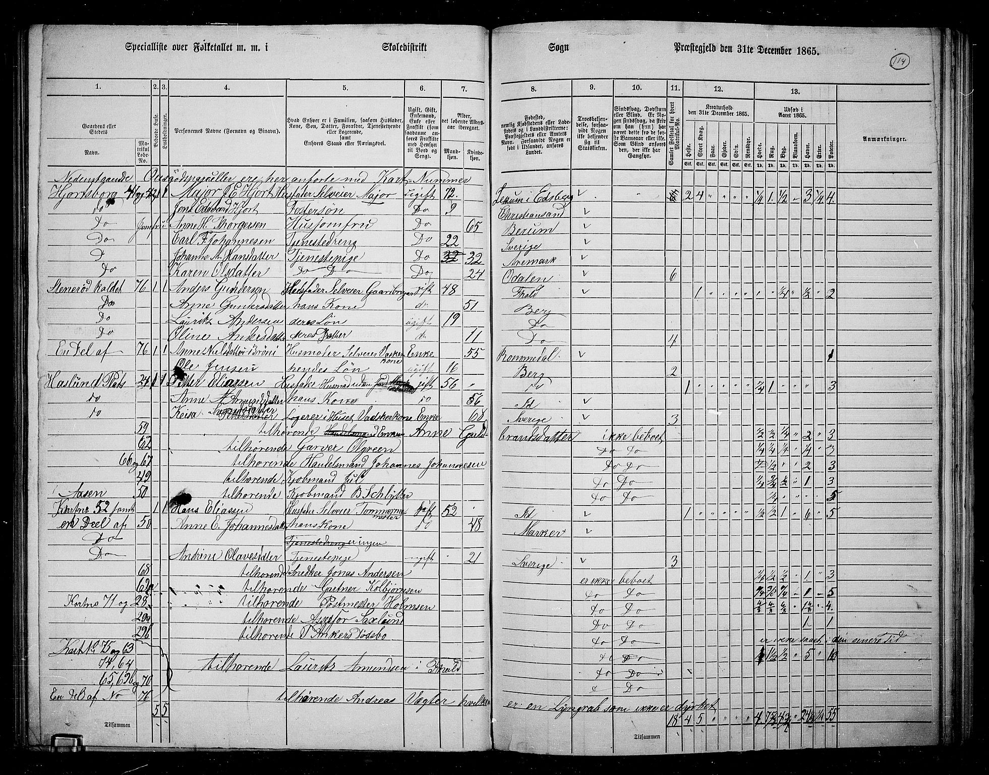 RA, 1865 census for Berg, 1865, p. 103