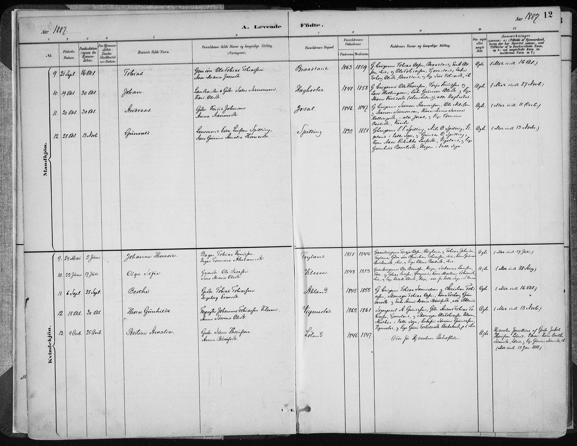 Nord-Audnedal sokneprestkontor, SAK/1111-0032/F/Fa/Fab/L0003: Parish register (official) no. A 3, 1882-1900, p. 12