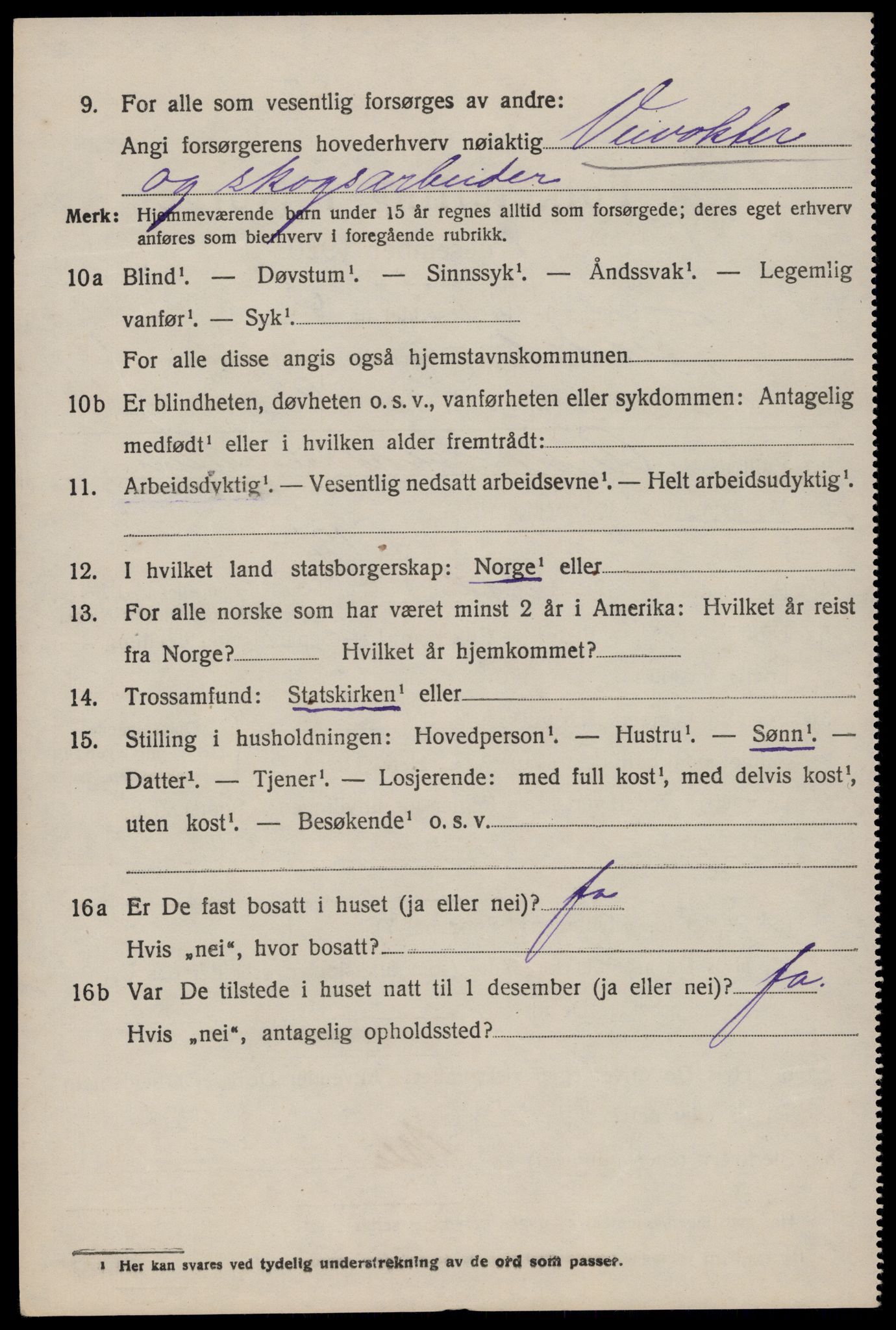 SAKO, 1920 census for Fyresdal, 1920, p. 972