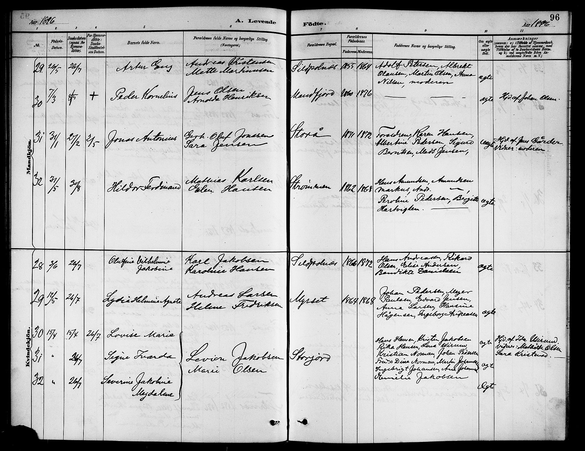 Ministerialprotokoller, klokkerbøker og fødselsregistre - Nordland, AV/SAT-A-1459/861/L0876: Parish register (copy) no. 861C02, 1887-1903, p. 96