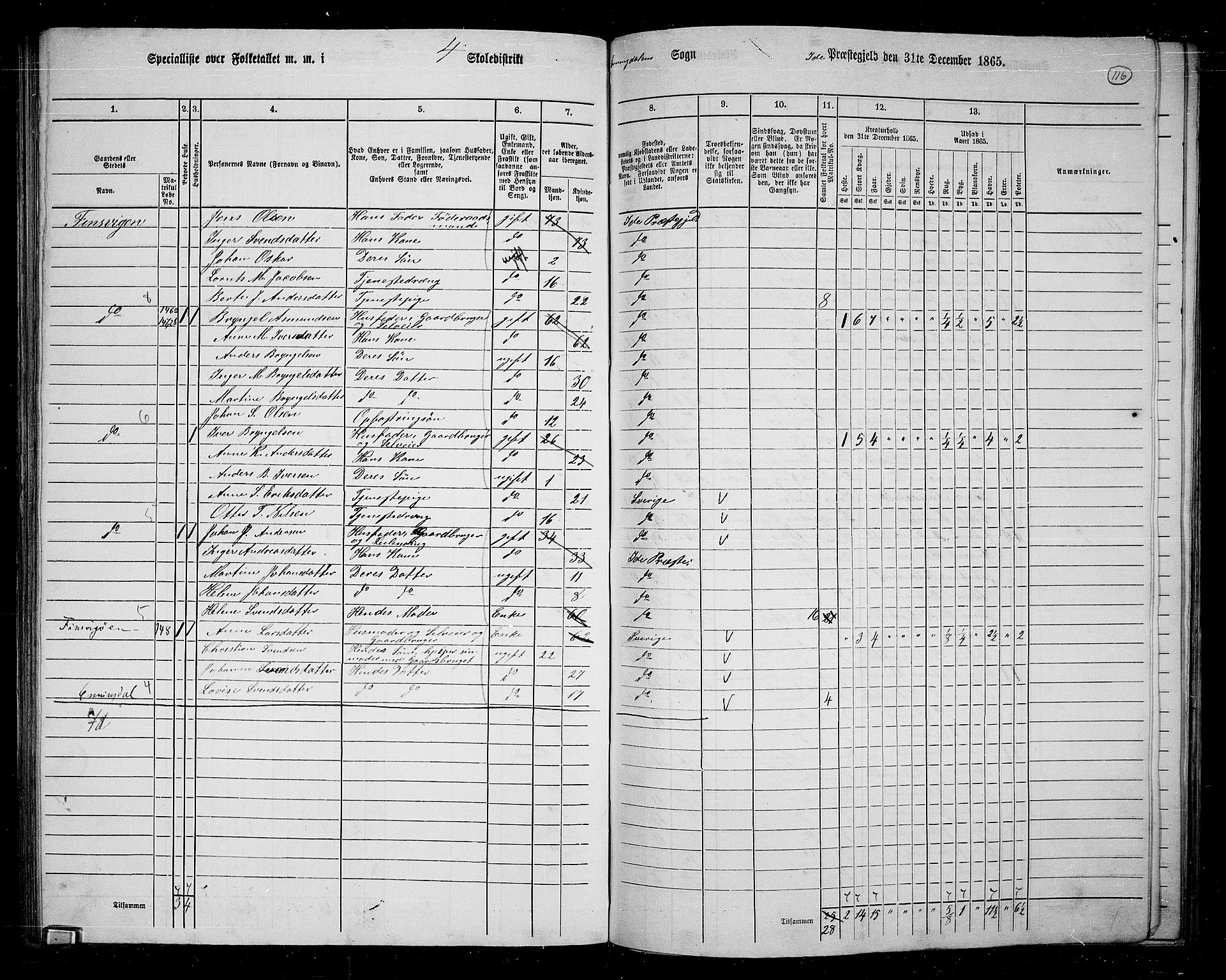 RA, 1865 census for Idd, 1865, p. 105