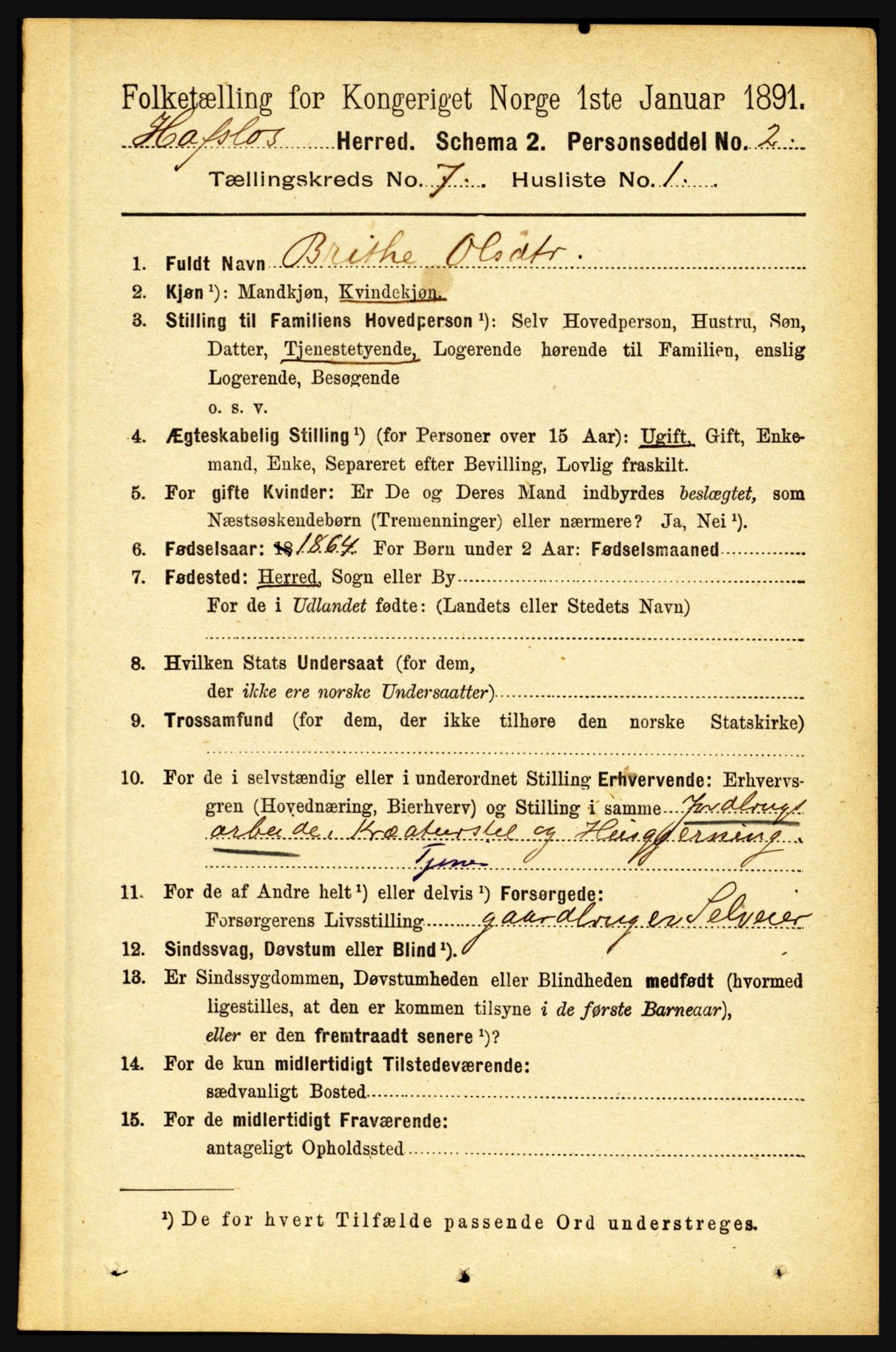 RA, 1891 census for 1425 Hafslo, 1891, p. 2746