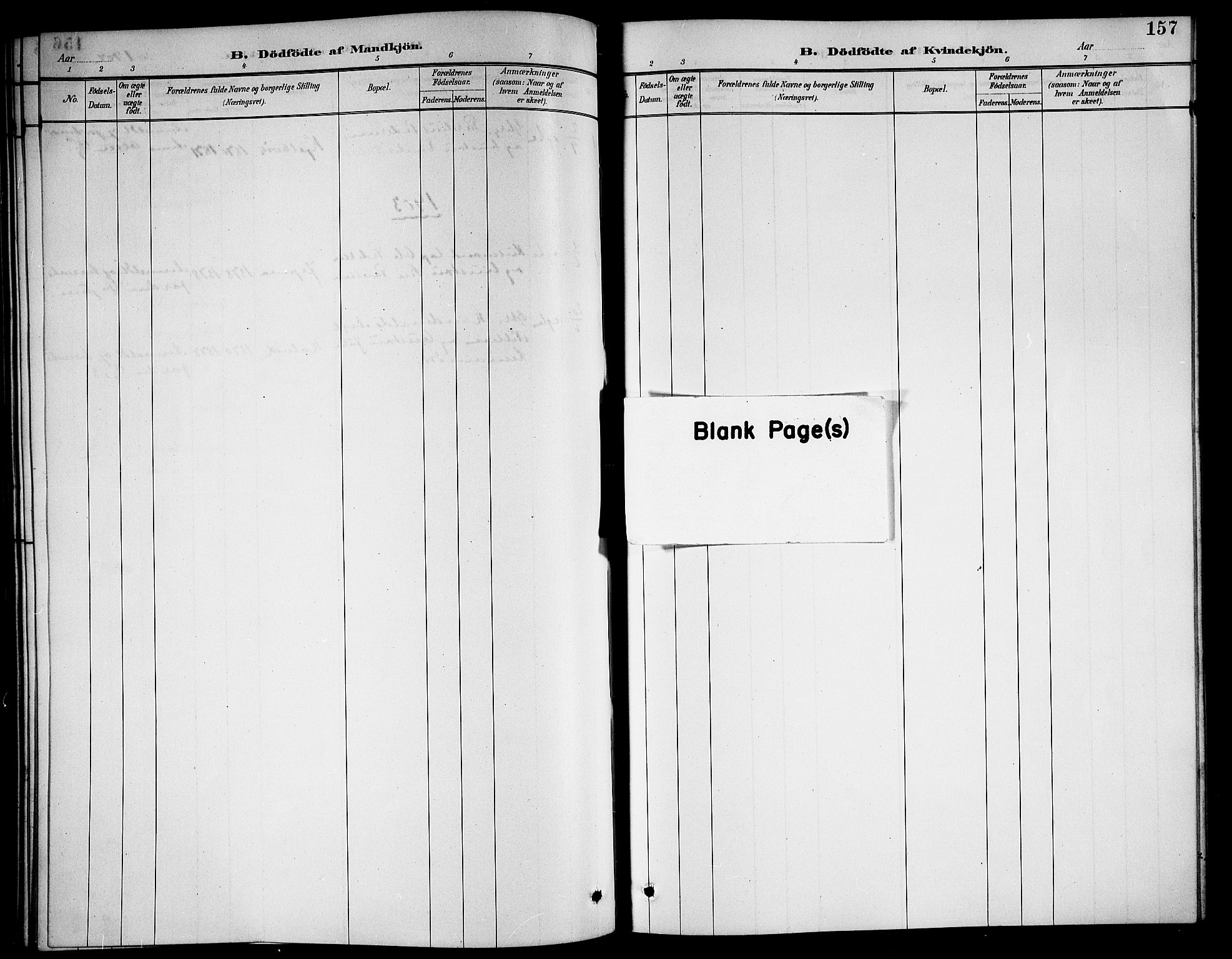 Ministerialprotokoller, klokkerbøker og fødselsregistre - Nordland, AV/SAT-A-1459/861/L0876: Parish register (copy) no. 861C02, 1887-1903, p. 157