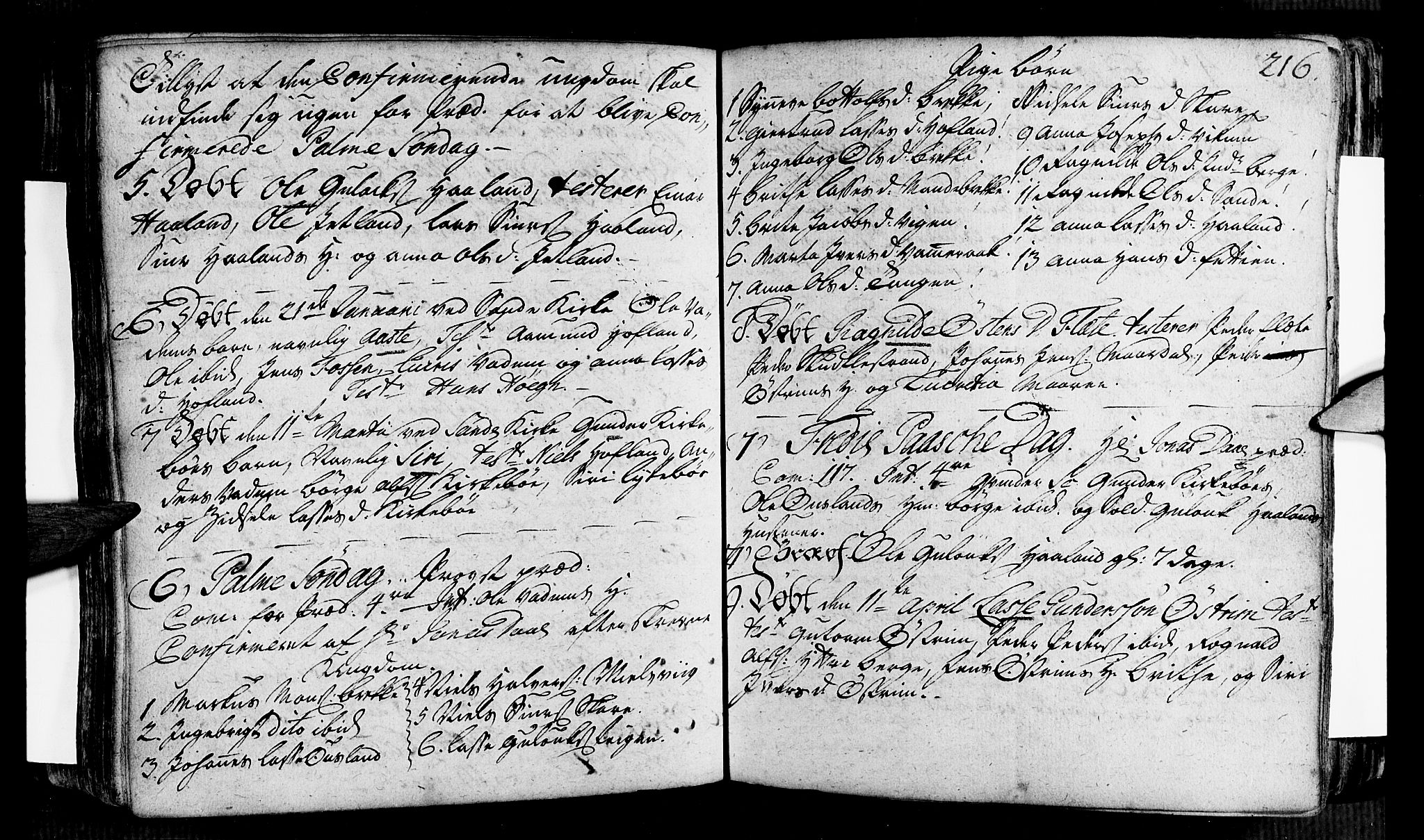 Vik sokneprestembete, AV/SAB-A-81501/H/Haa/Haaa/L0002: Parish register (official) no. A 2 / 3, 1740-1755, p. 216