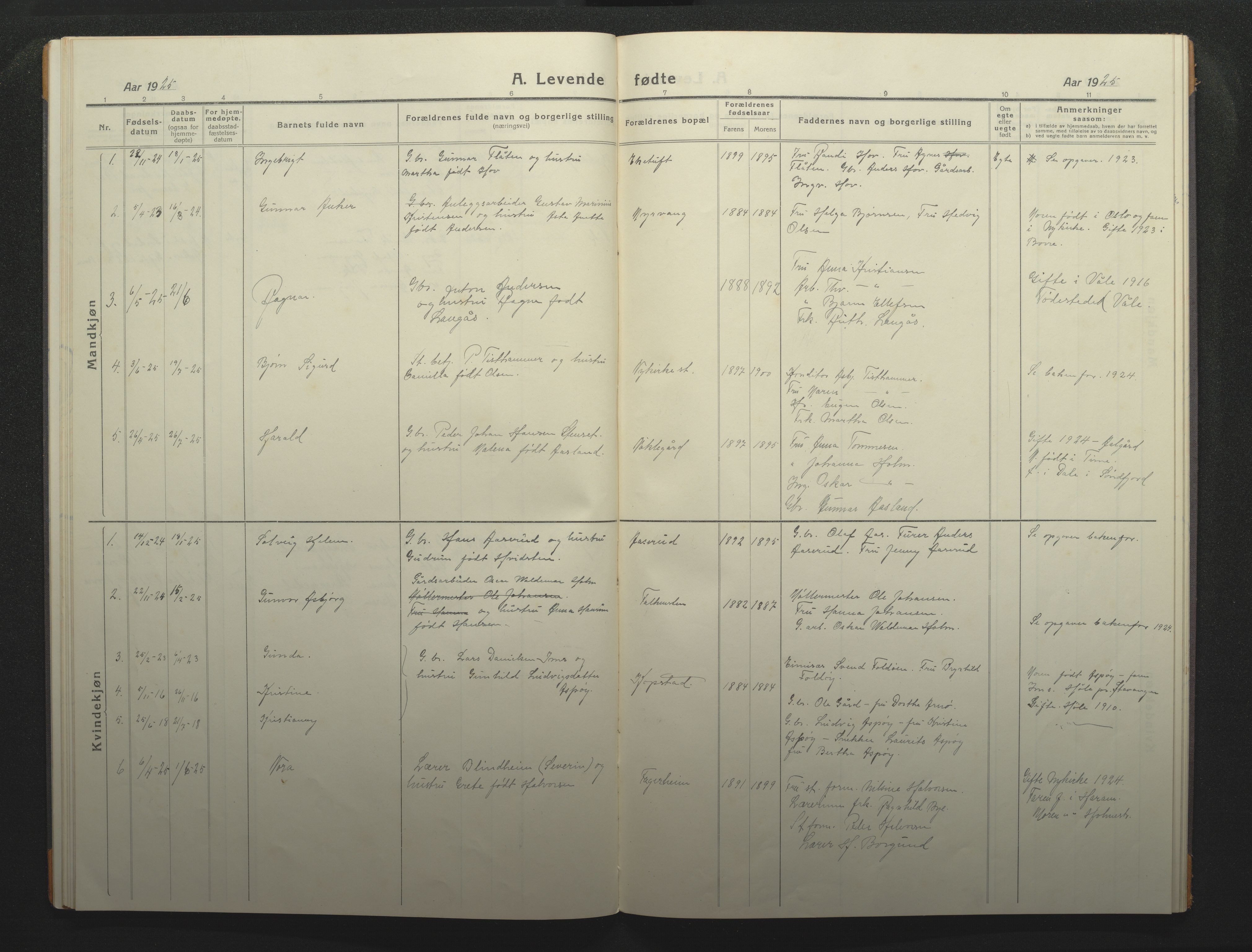 Borre kirkebøker, AV/SAKO-A-338/F/Fc/L0004: Parish register (official) no. III 4, 1918-1925