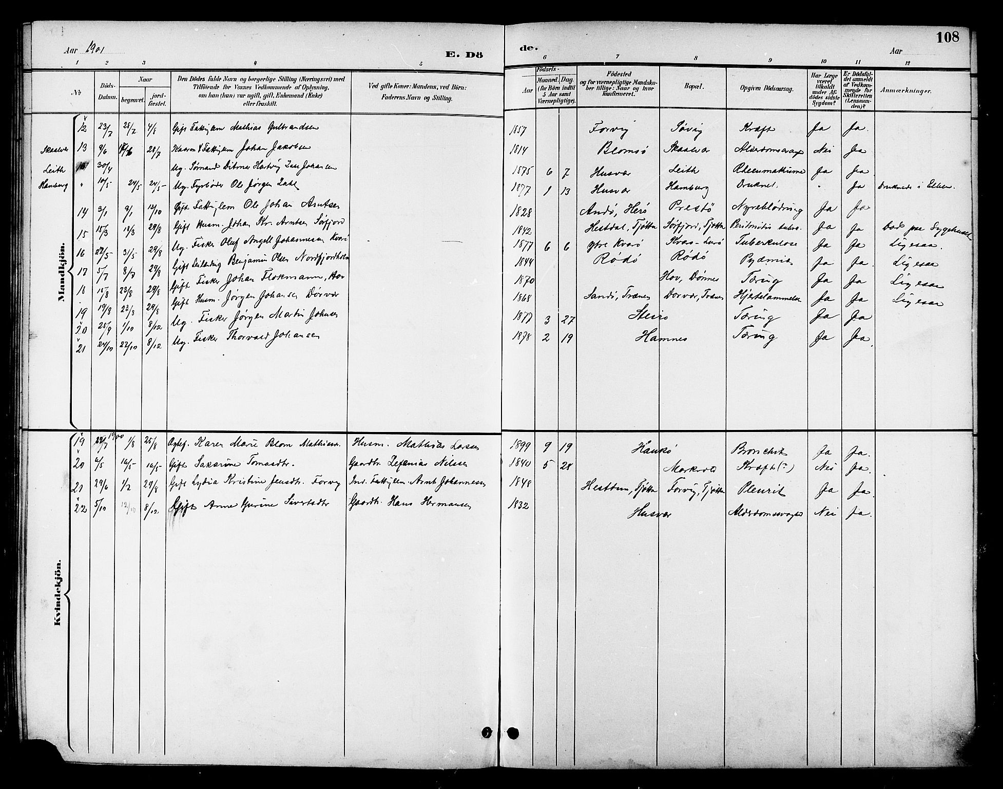 Ministerialprotokoller, klokkerbøker og fødselsregistre - Nordland, AV/SAT-A-1459/830/L0463: Parish register (copy) no. 830C05, 1895-1906, p. 108