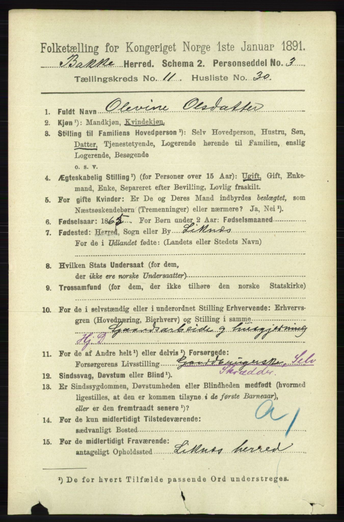 RA, 1891 census for 1045 Bakke, 1891, p. 2374