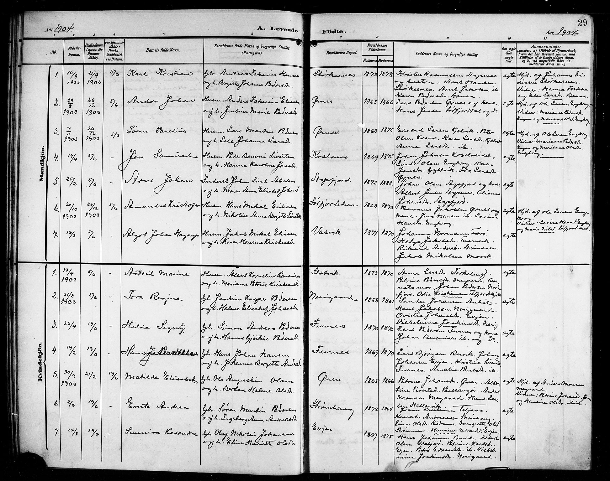 Ministerialprotokoller, klokkerbøker og fødselsregistre - Nordland, AV/SAT-A-1459/854/L0786: Parish register (copy) no. 854C02, 1901-1912, p. 29