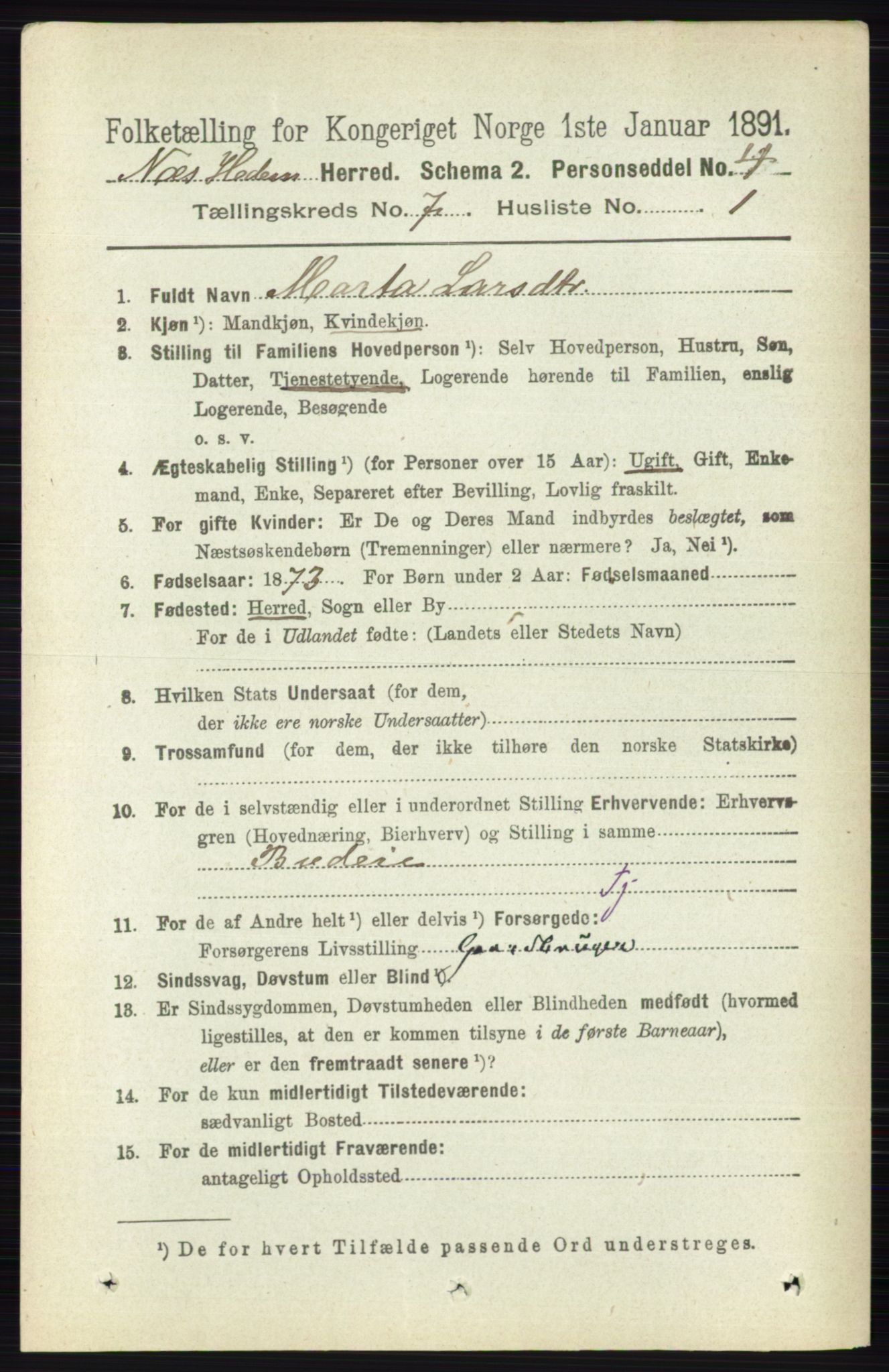 RA, 1891 census for 0411 Nes, 1891, p. 3928