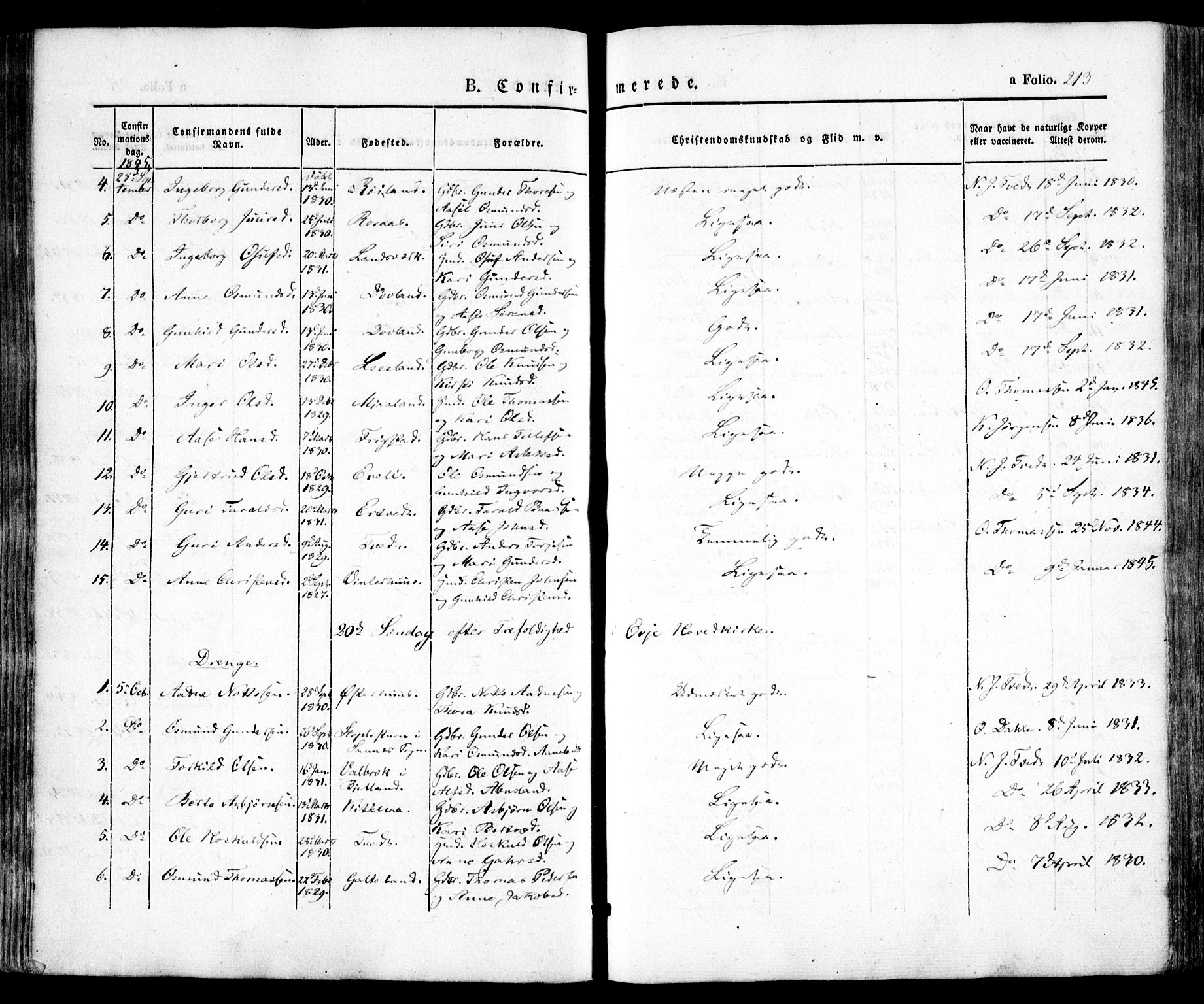 Evje sokneprestkontor, AV/SAK-1111-0008/F/Fa/Faa/L0005: Parish register (official) no. A 5, 1843-1865, p. 213