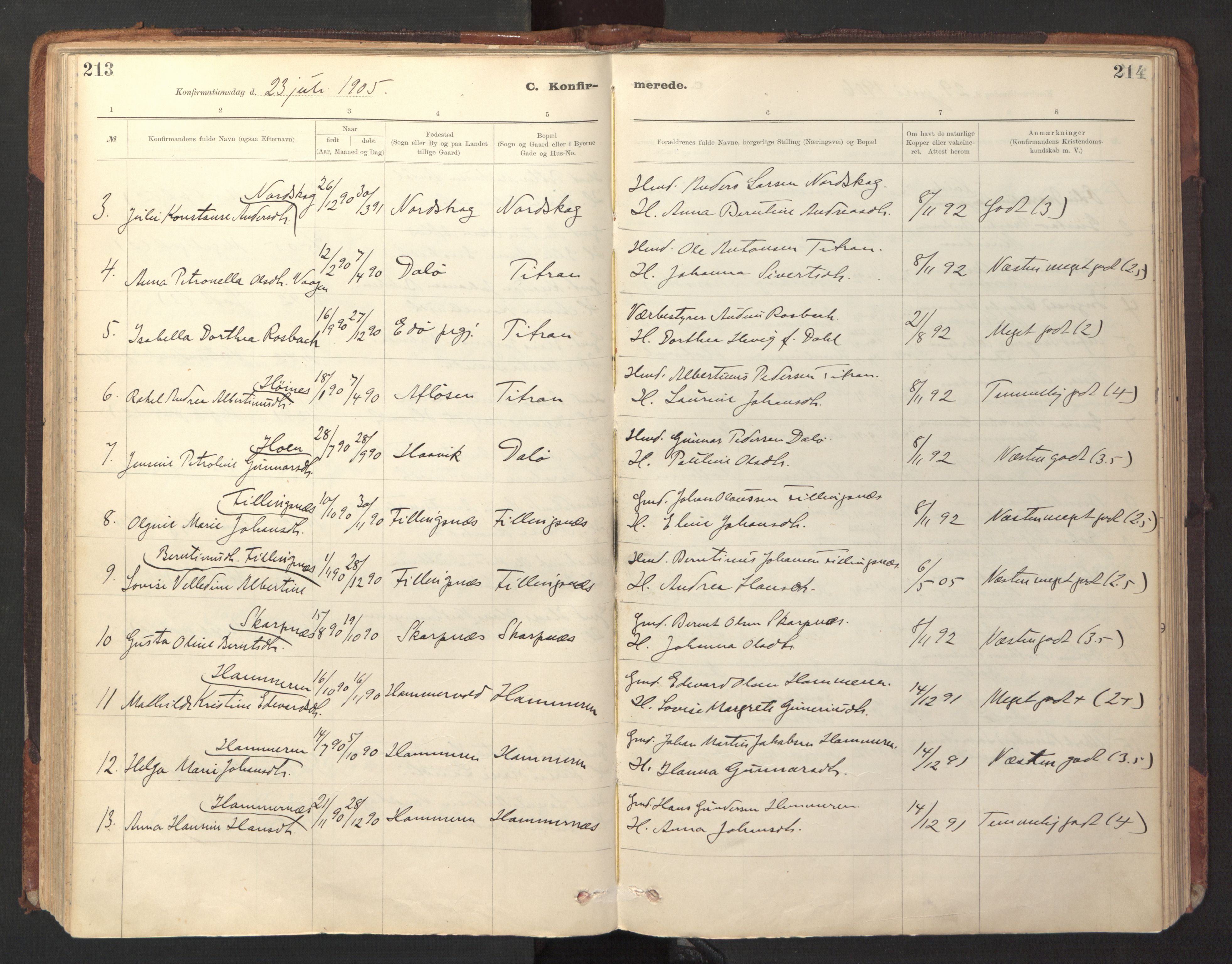 Ministerialprotokoller, klokkerbøker og fødselsregistre - Sør-Trøndelag, SAT/A-1456/641/L0596: Parish register (official) no. 641A02, 1898-1915, p. 213-214