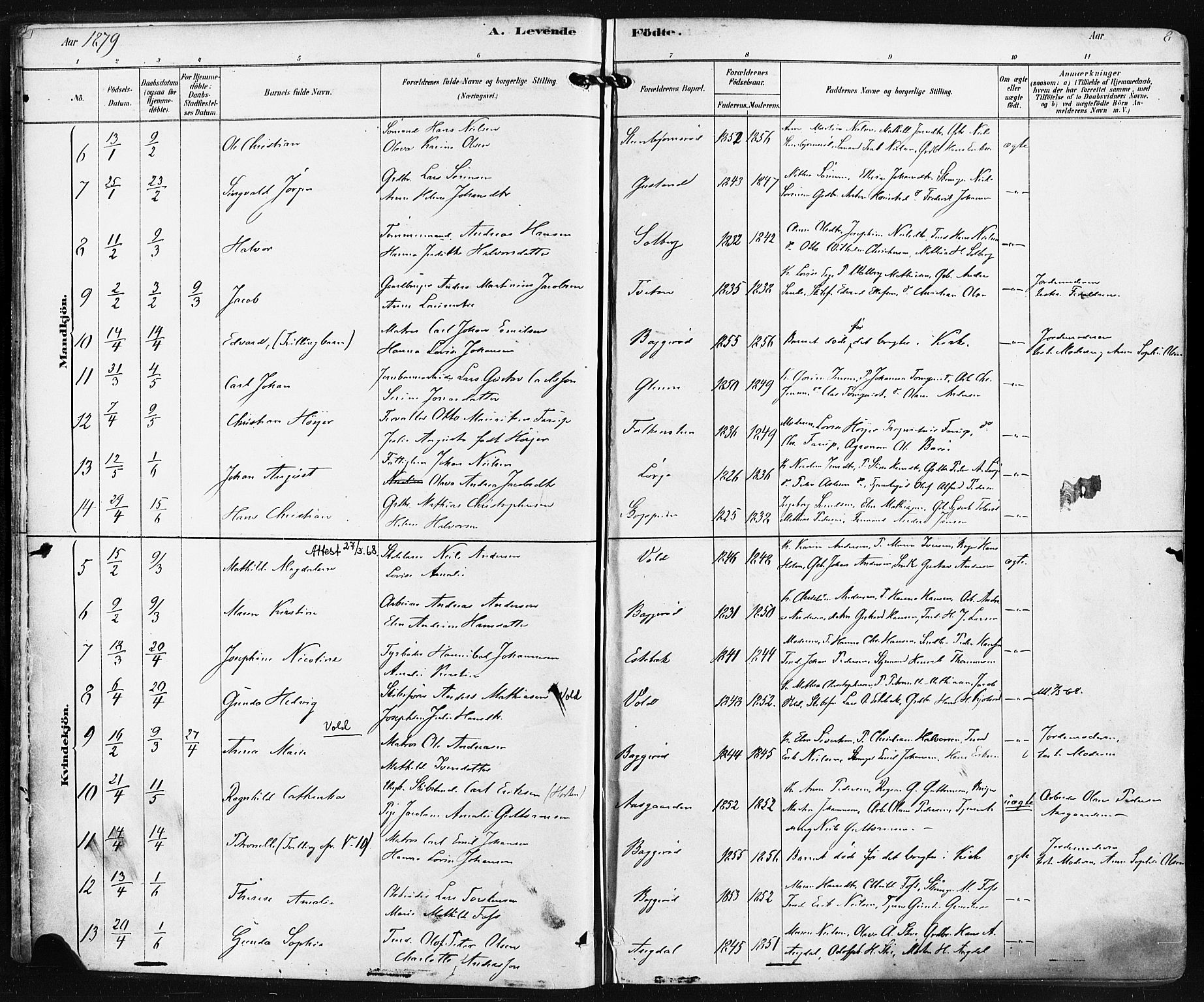 Borre kirkebøker, SAKO/A-338/F/Fa/L0009: Parish register (official) no. I 9, 1878-1896, p. 8