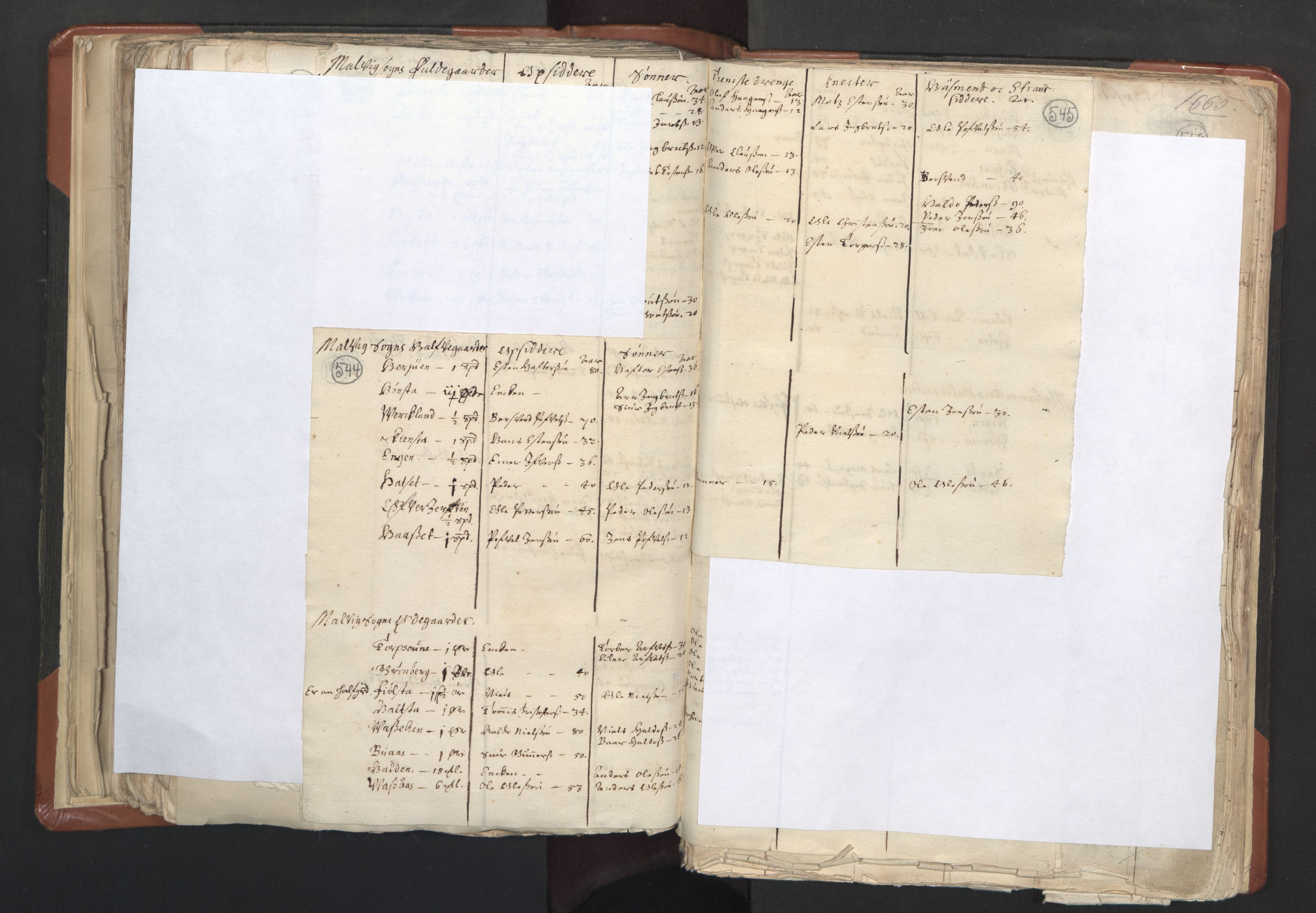 RA, Vicar's Census 1664-1666, no. 31: Dalane deanery, 1664-1666, p. 544-545