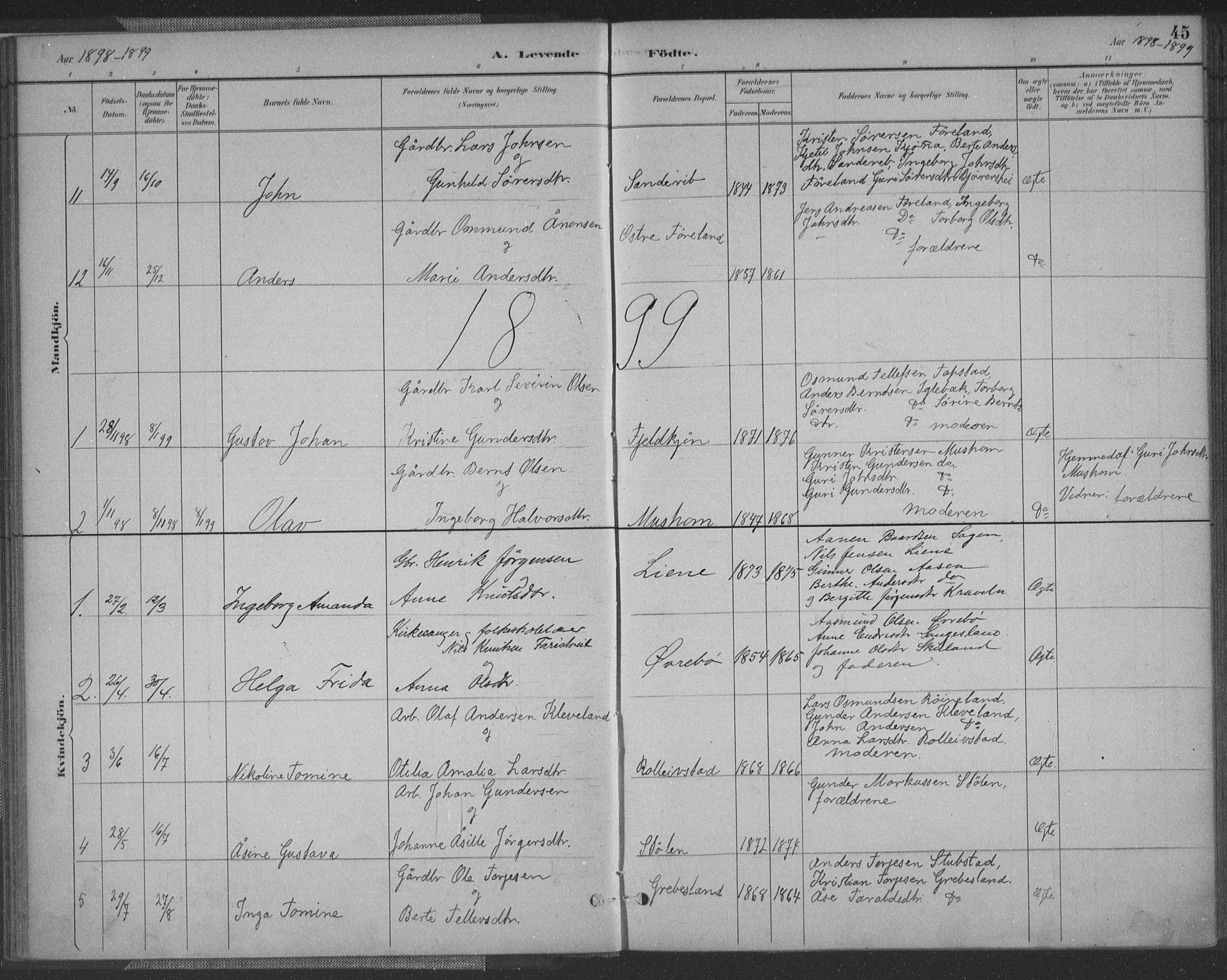 Vennesla sokneprestkontor, AV/SAK-1111-0045/Fa/Fac/L0009: Parish register (official) no. A 9, 1884-1901, p. 45