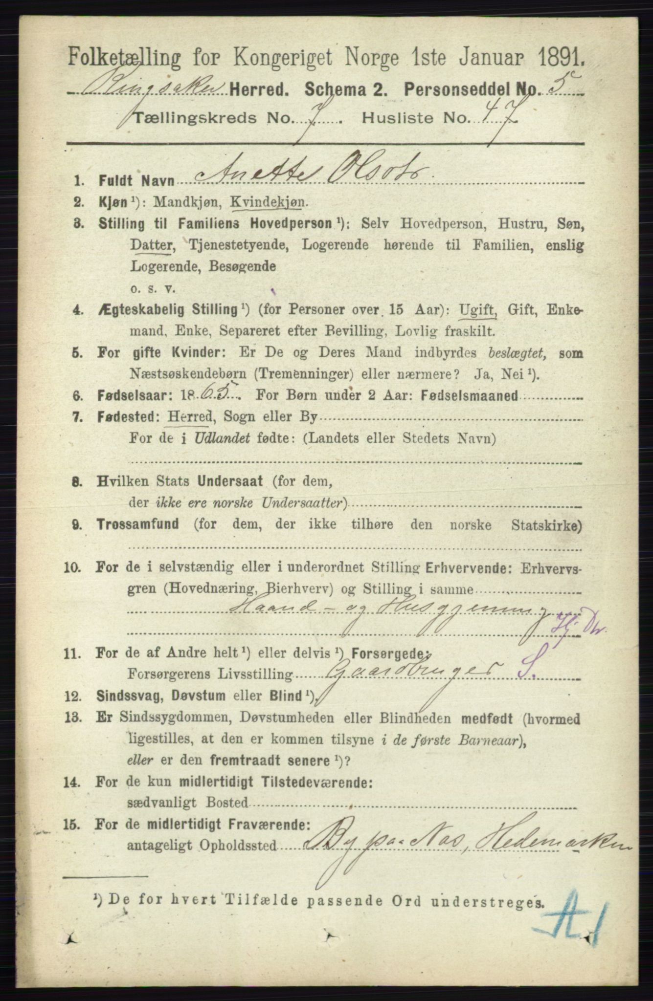 RA, 1891 census for 0412 Ringsaker, 1891, p. 4215