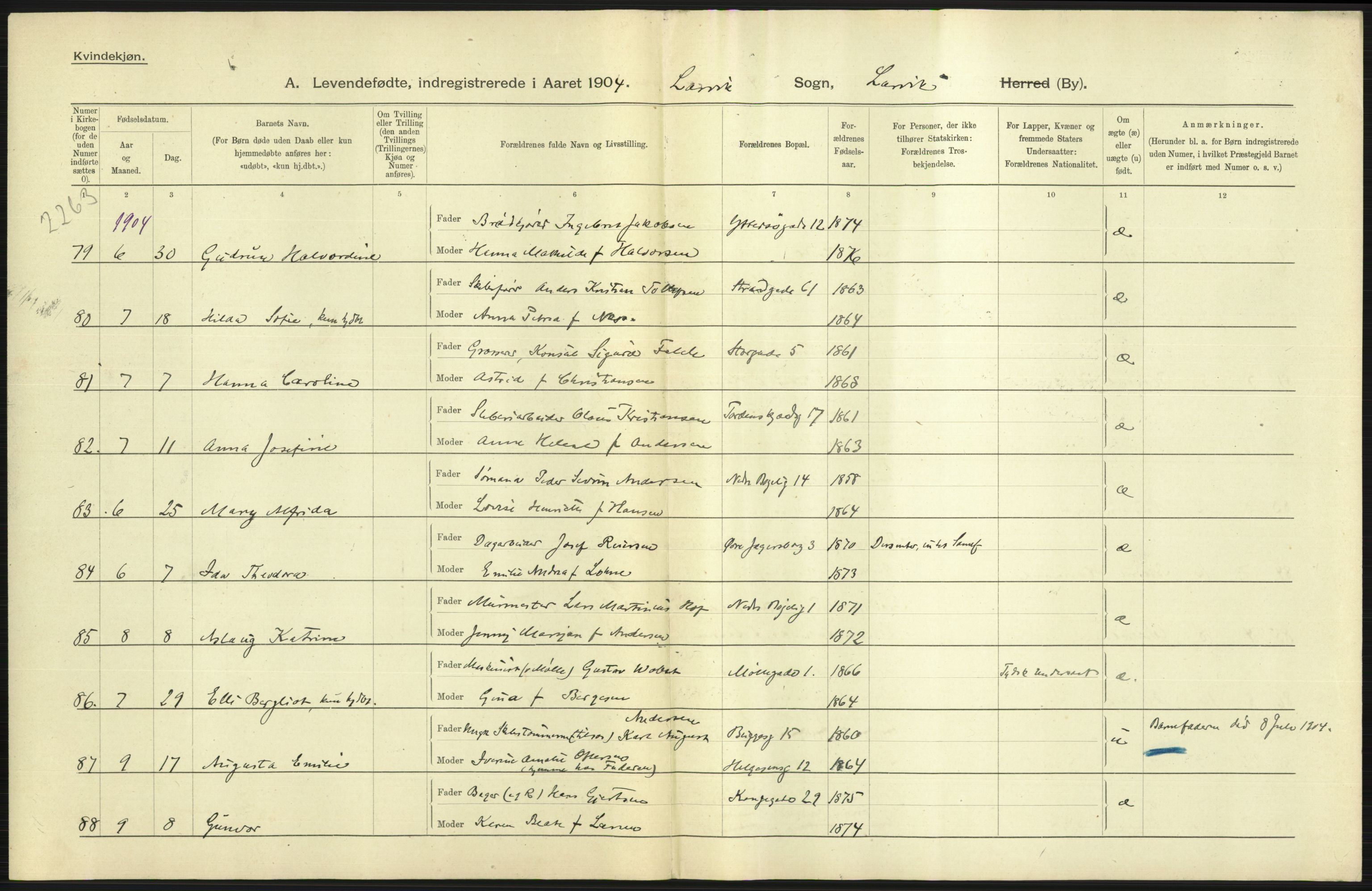 Statistisk sentralbyrå, Sosiodemografiske emner, Befolkning, AV/RA-S-2228/D/Df/Dfa/Dfab/L0008: Jarlsberg og Larvig amt: Fødte, gifte, døde, 1904, p. 269