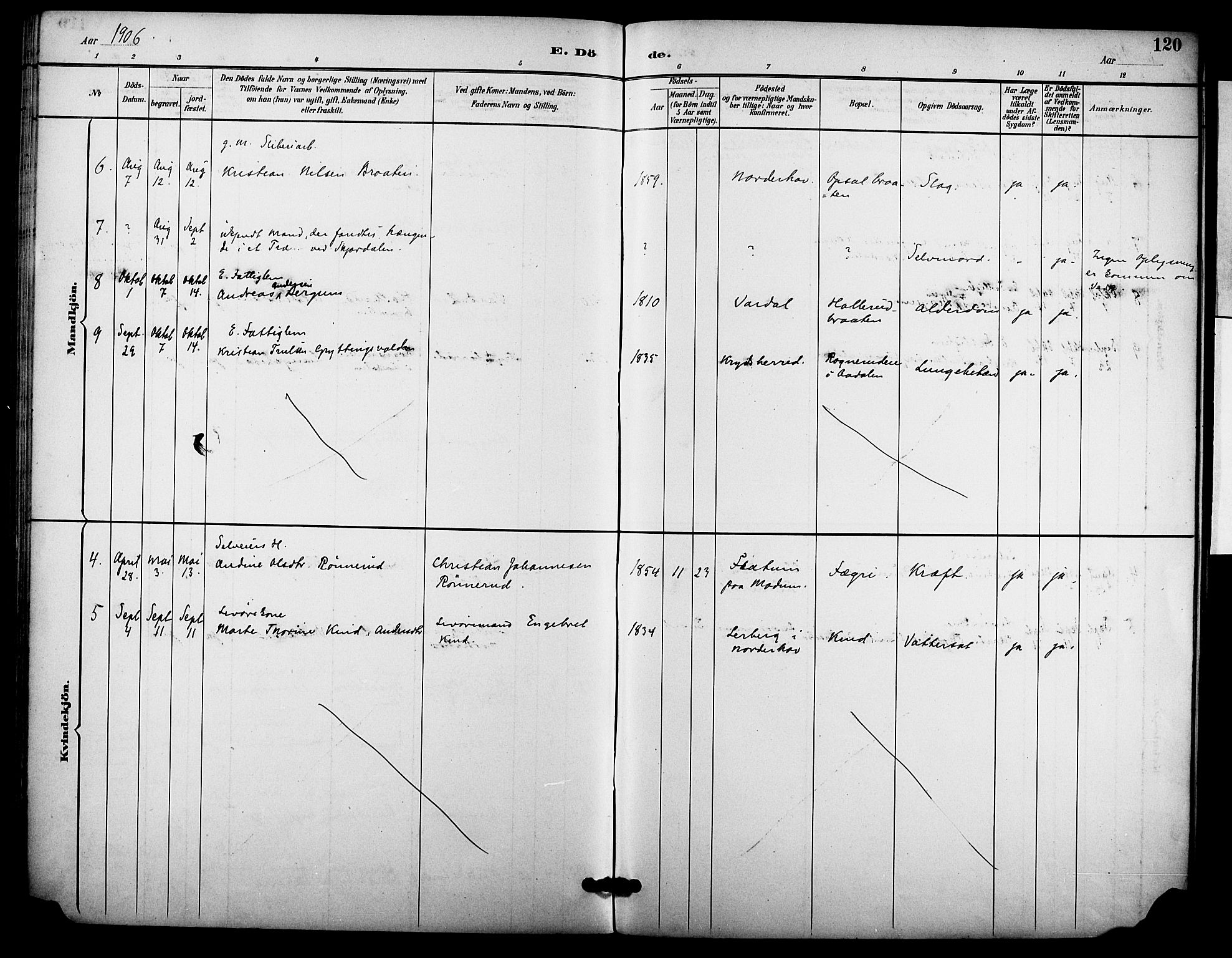 Hole kirkebøker, AV/SAKO-A-228/F/Fb/L0002: Parish register (official) no. II 2, 1892-1906, p. 120