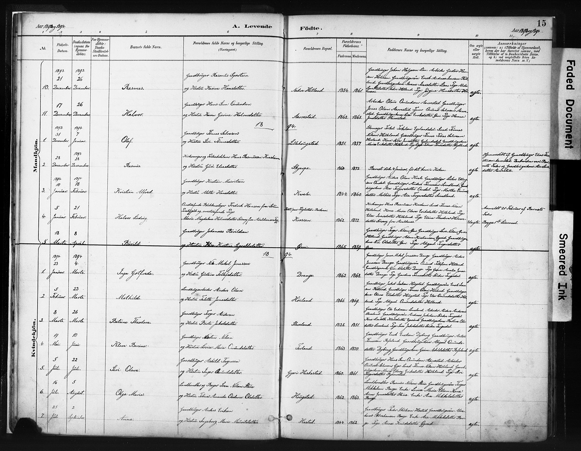 Helleland sokneprestkontor, SAST/A-101810: Parish register (official) no. A 8, 1887-1907, p. 15