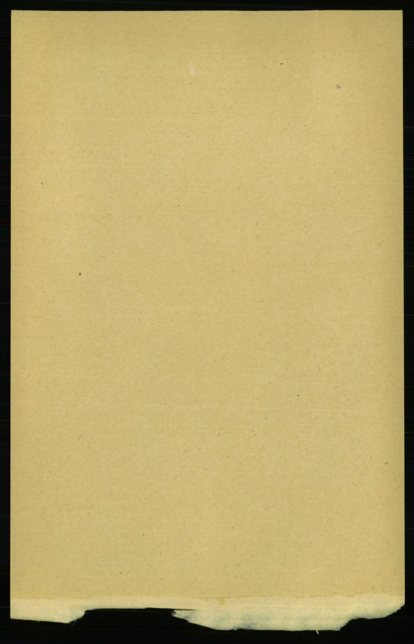 RA, 1891 census for 1644 Ålen, 1891, p. 1916