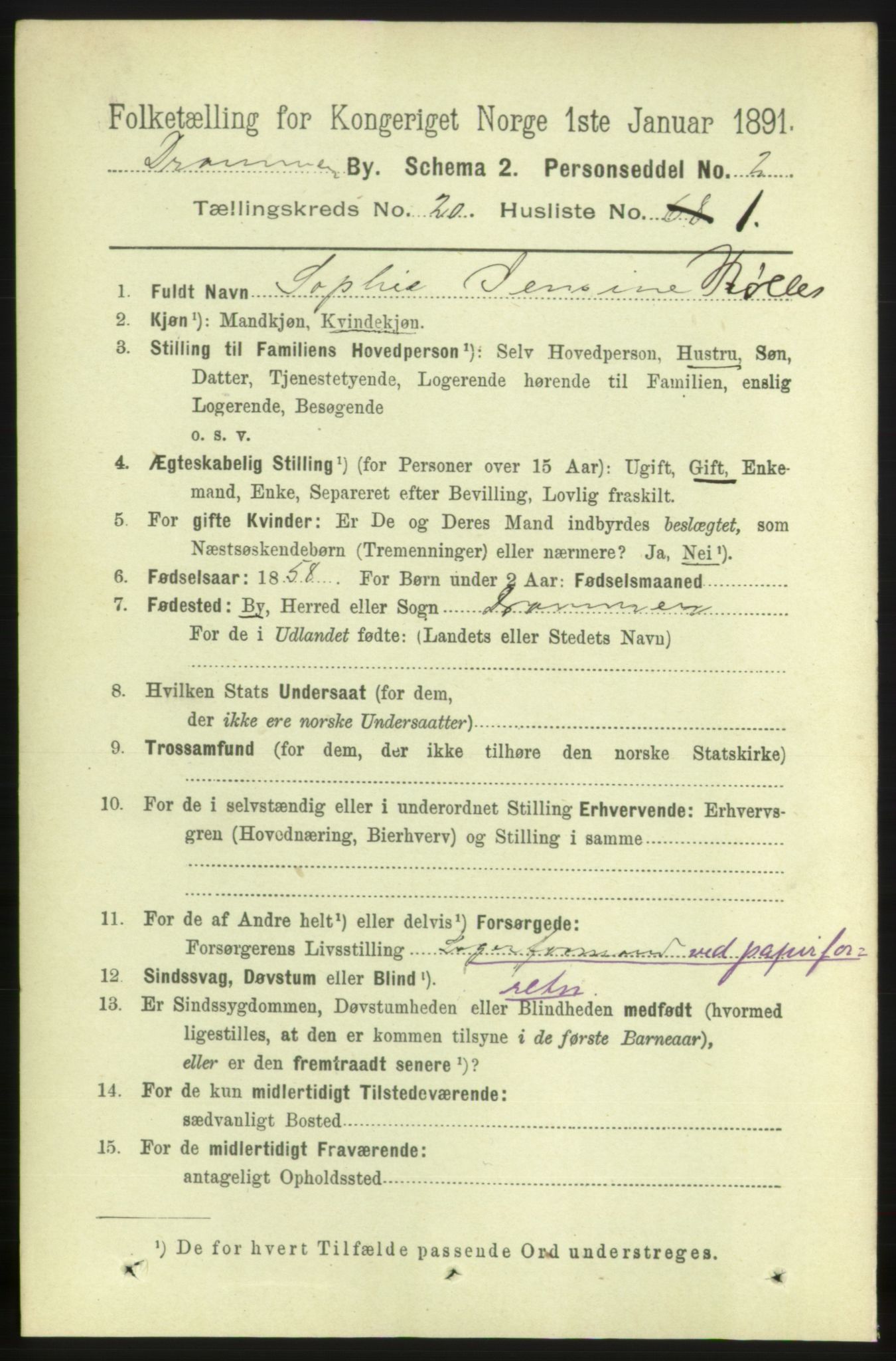 RA, 1891 census for 0602 Drammen, 1891, p. 12506