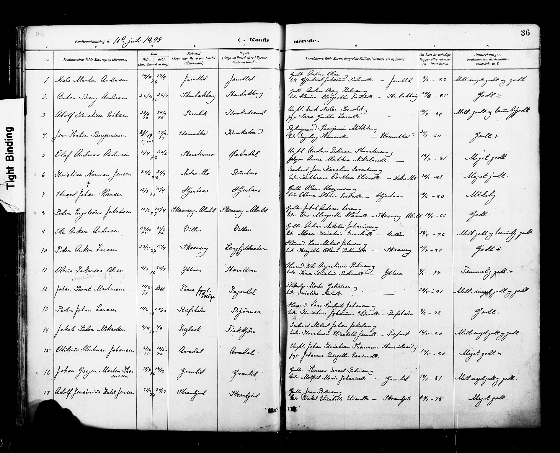 Ministerialprotokoller, klokkerbøker og fødselsregistre - Nordland, SAT/A-1459/827/L0401: Parish register (official) no. 827A13, 1887-1905, p. 36