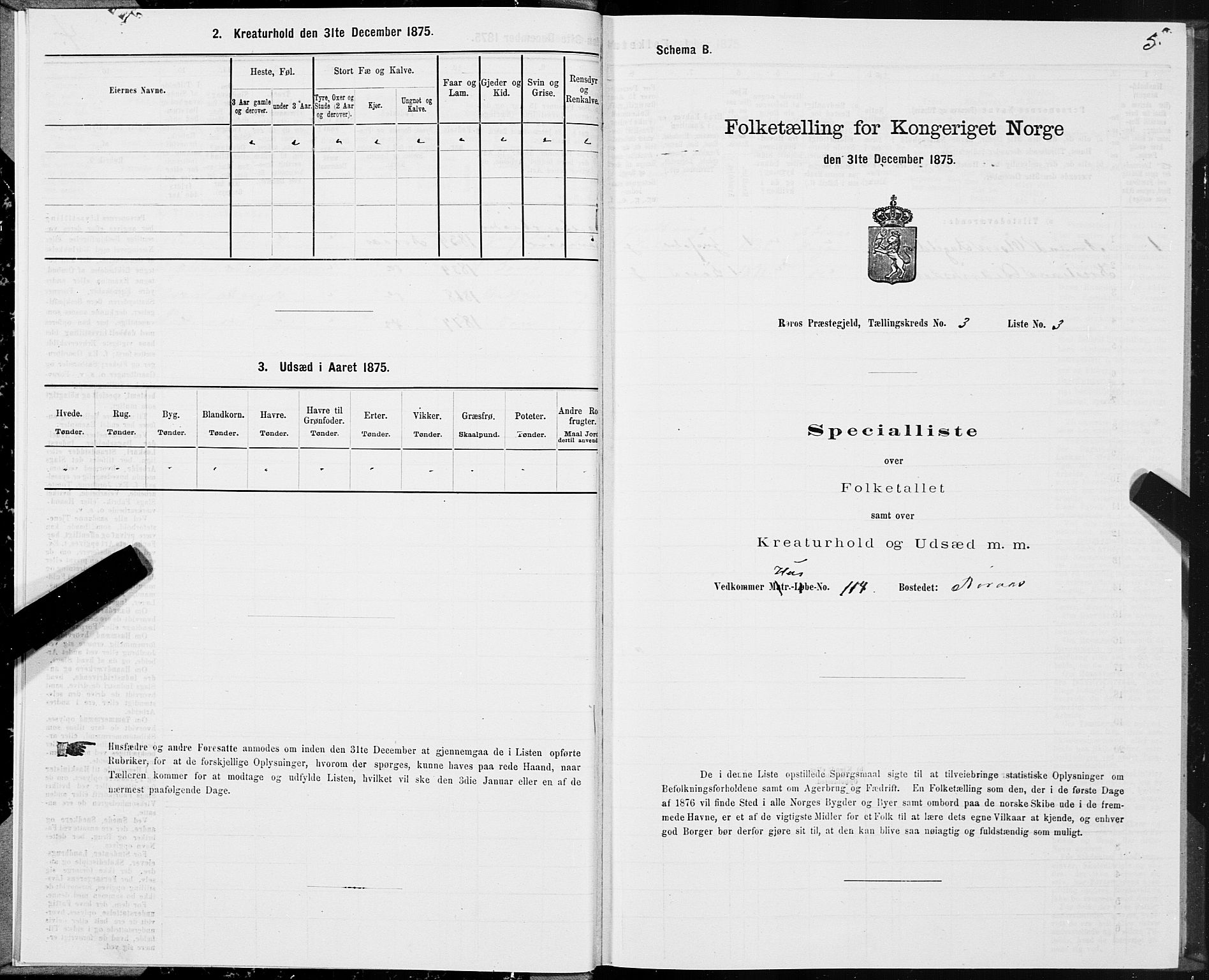 SAT, 1875 census for 1640P Røros, 1875, p. 2005