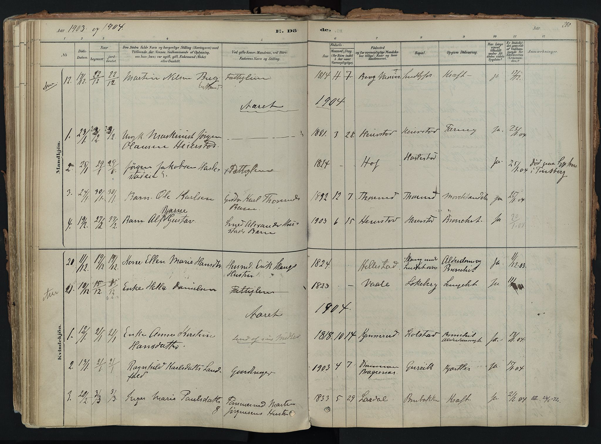 Hof kirkebøker, AV/SAKO-A-64/F/Fa/L0007: Parish register (official) no. I 7, 1878-1940, p. 280