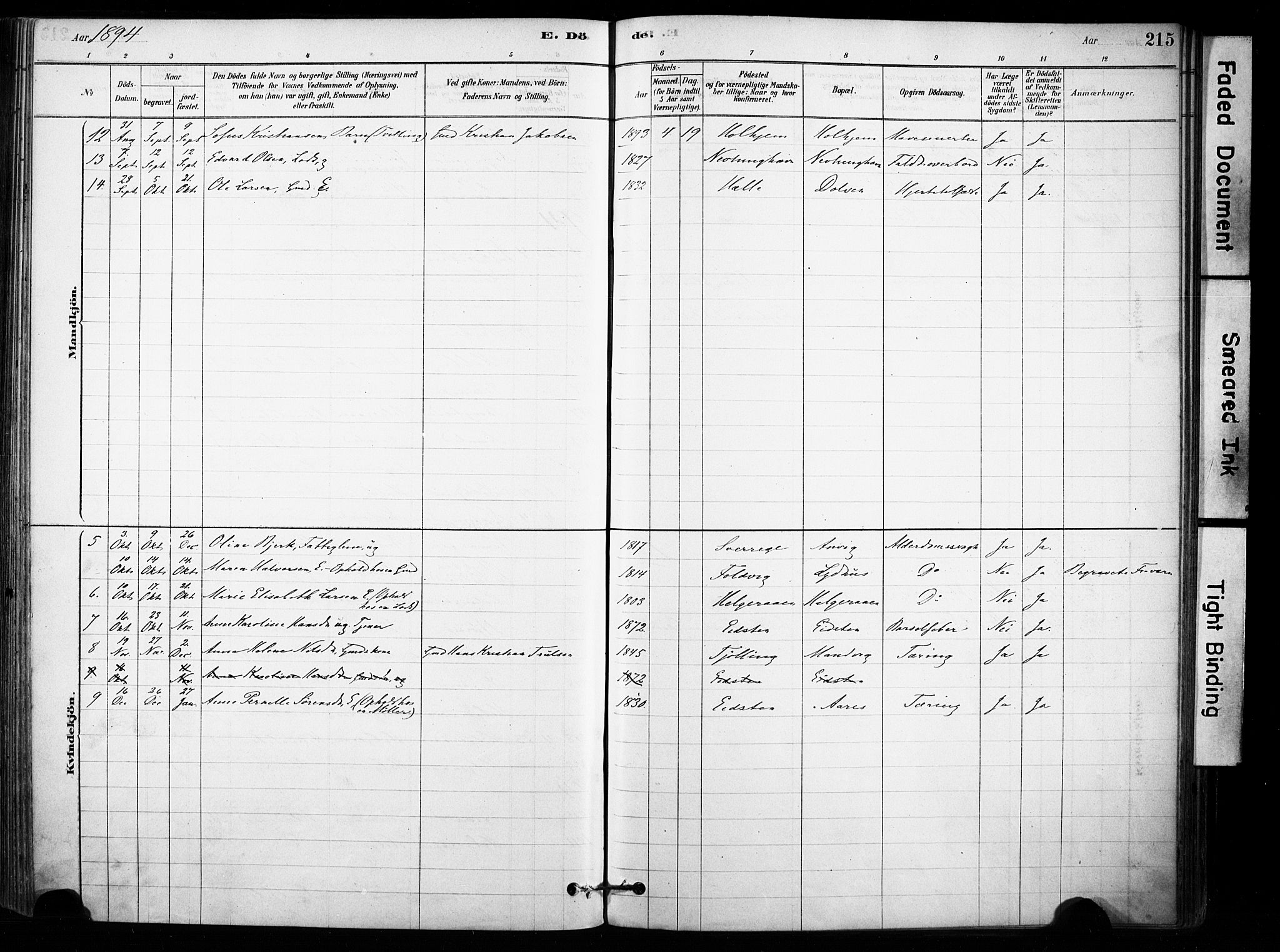 Brunlanes kirkebøker, AV/SAKO-A-342/F/Fb/L0001: Parish register (official) no. II 1, 1878-1899, p. 215