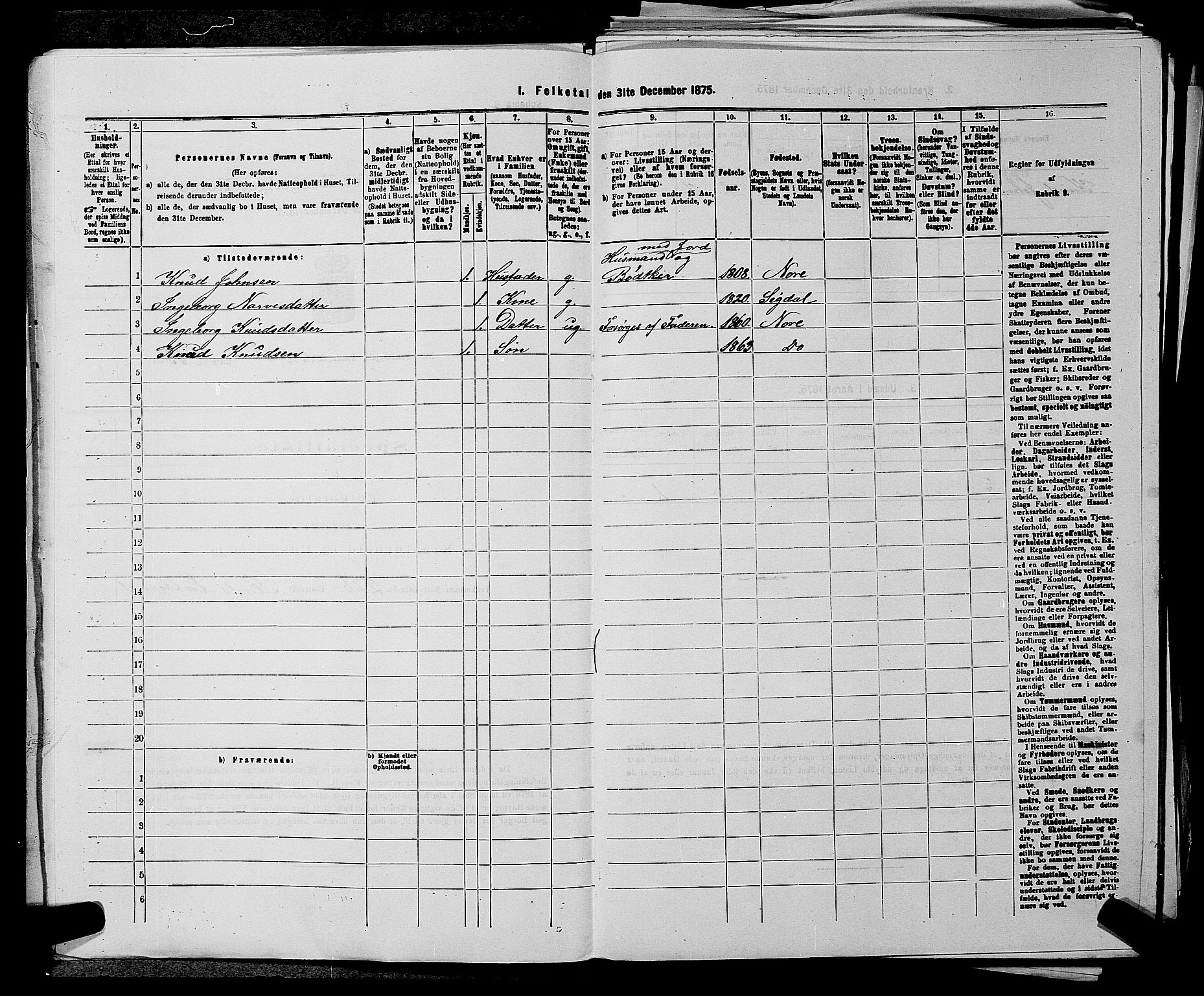 SAKO, 1875 census for 0633P Nore, 1875, p. 1012